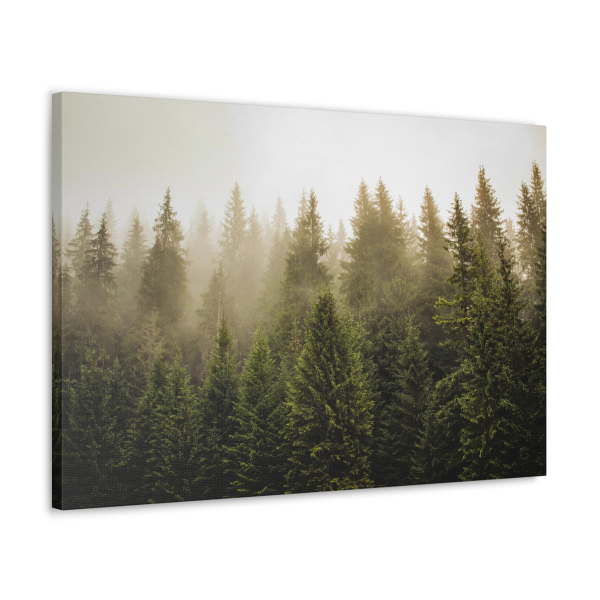Misty Pine Tree Forest Nature Wilderness Photography Canvas Wall Art for Home Decor Ready-to-Hang-Express Your Love Gifts