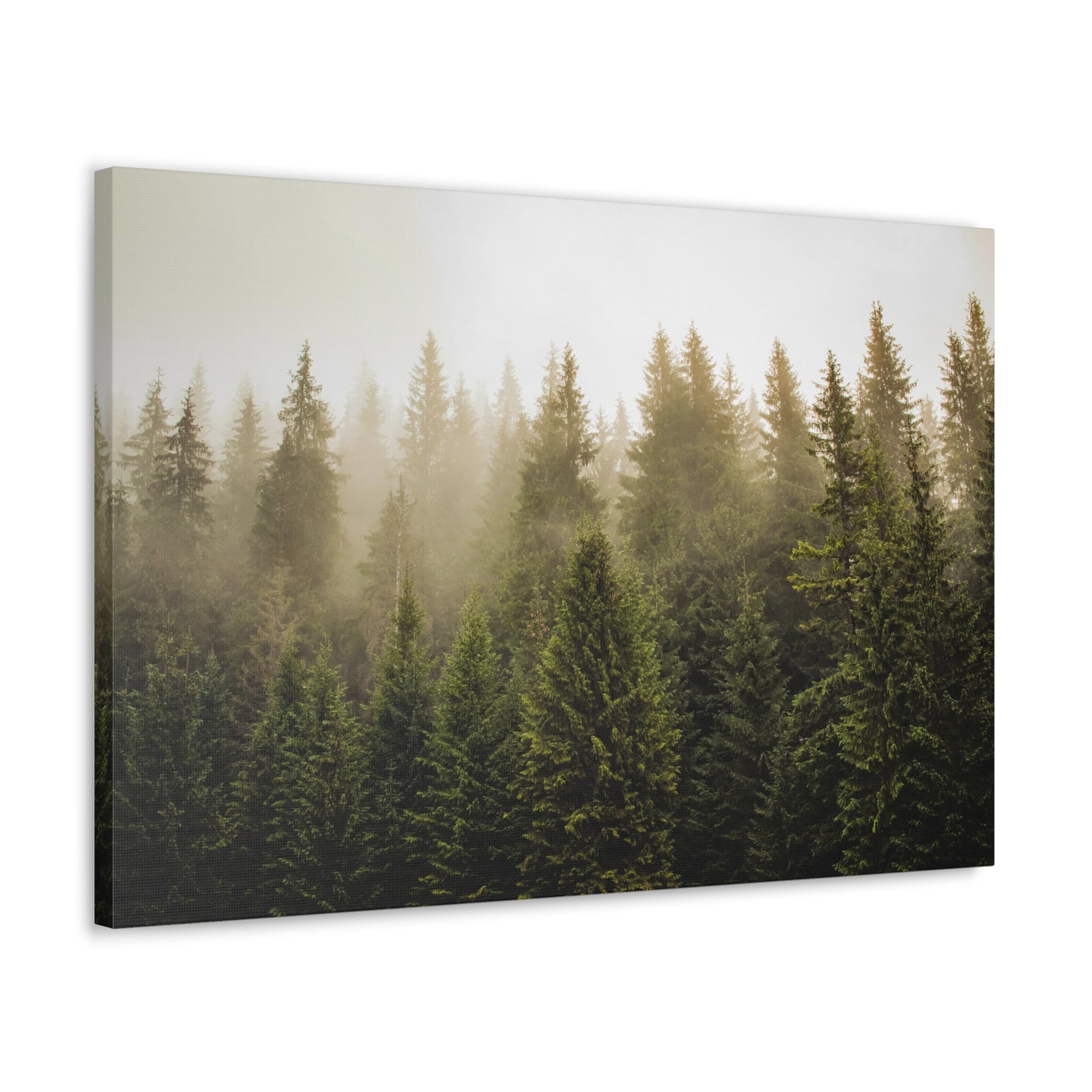 Misty Pine Tree Forest Nature Wilderness Photography Canvas Wall Art for Home Decor Ready-to-Hang-Express Your Love Gifts