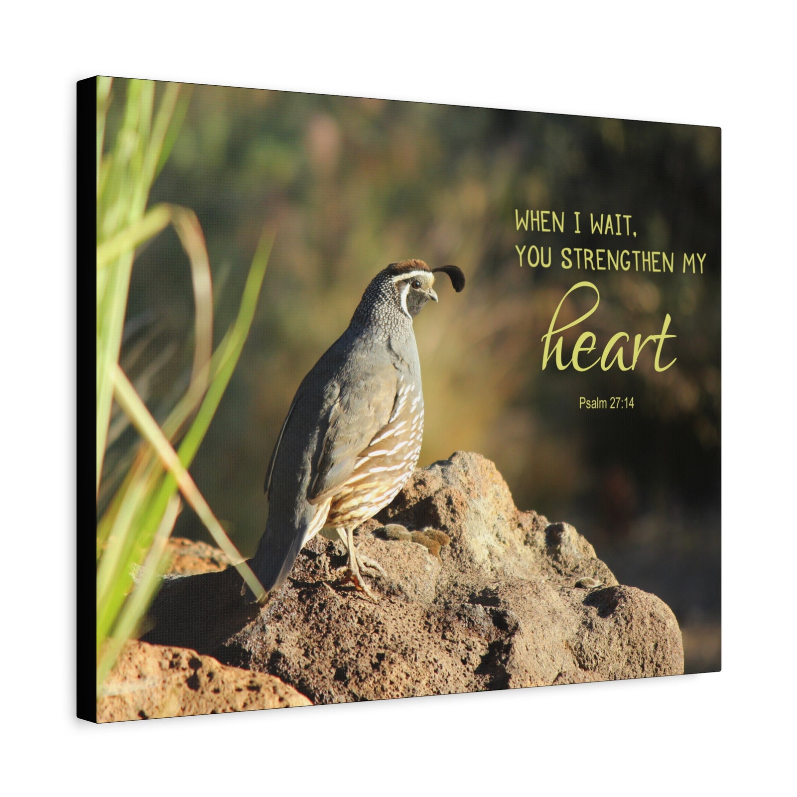 Scripture Canvas Strengthen My Heart Psalm 27:14 Christian Wall Art Bible Verse Print Ready to Hang-Express Your Love Gifts