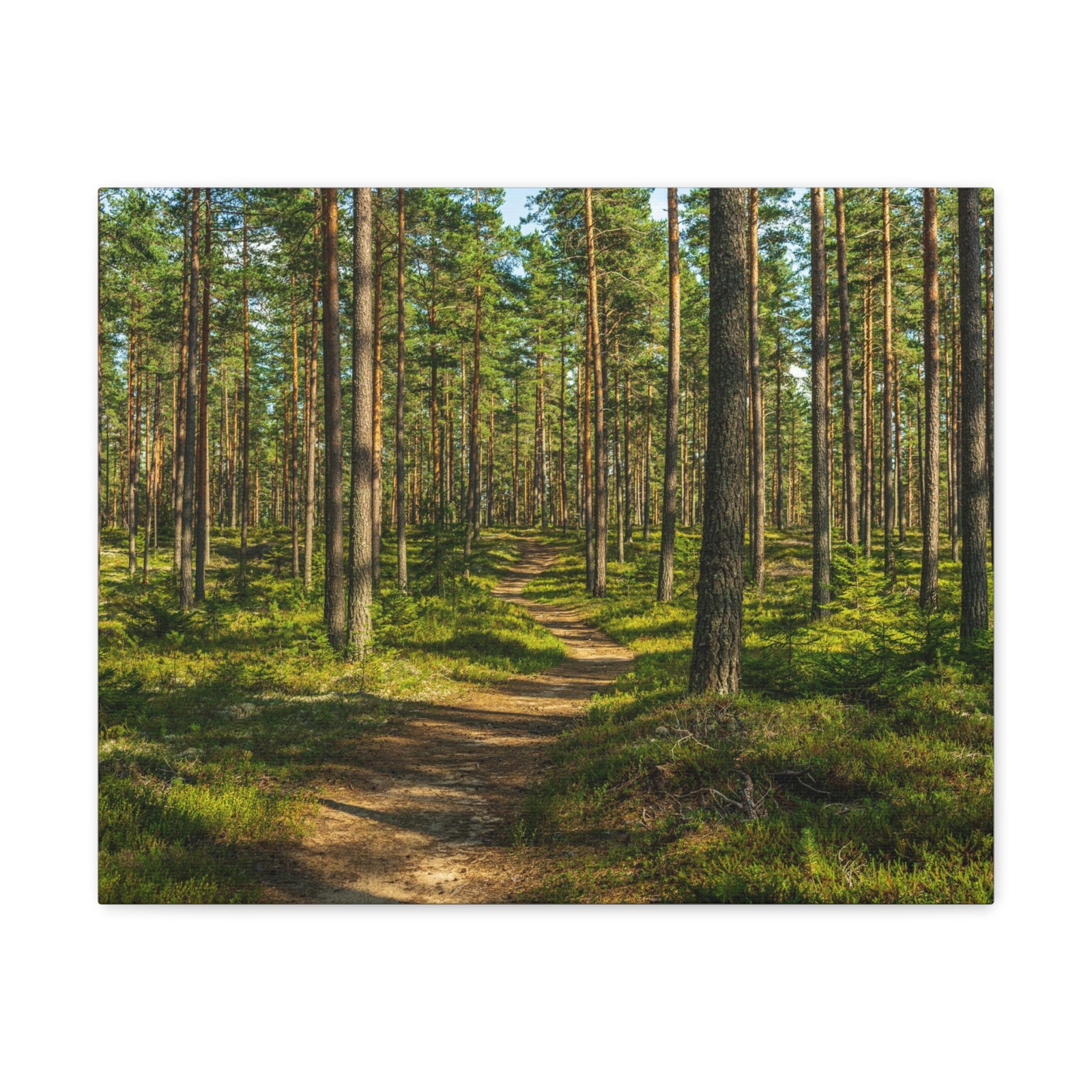 Green Forest Tree Path Nature Wilderness Photography Canvas Wall Art for Home Decor Ready-to-Hang-Express Your Love Gifts