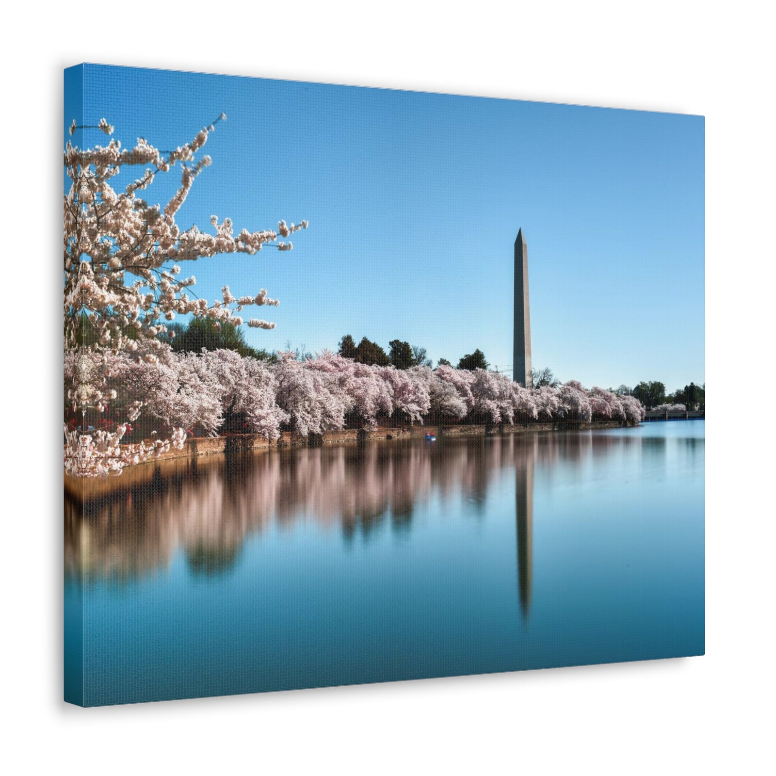 Cherry Blossom Festival at The National Mall Washington Modern Multicolor Scenic Nature Photography Canvas Home Office Decor Ready to Hang-Express Your Love Gifts