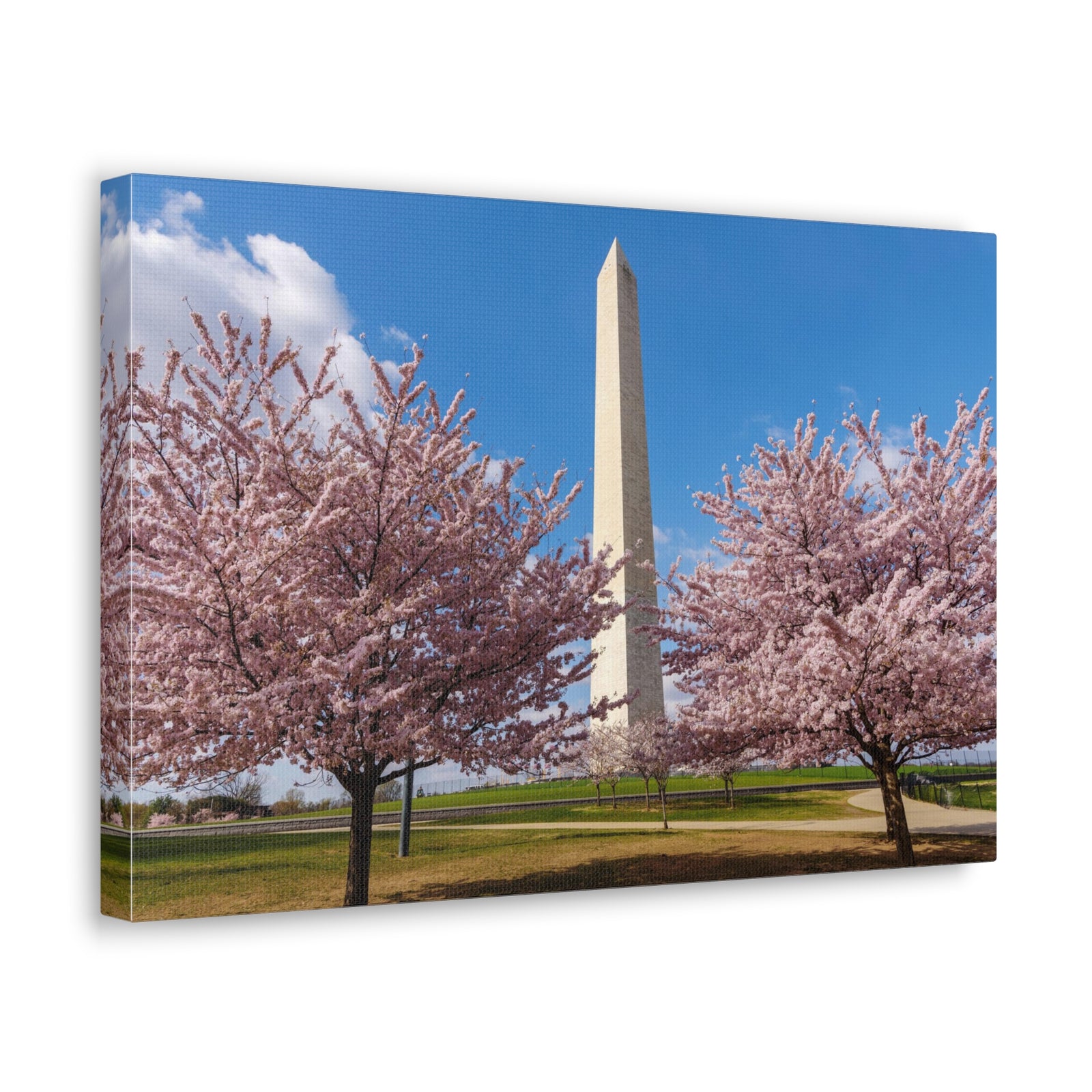 Mall Washington Blossom Festival Nature Wilderness Photography Canvas Wall Art for Home Decor Ready-to-Hang-Express Your Love Gifts