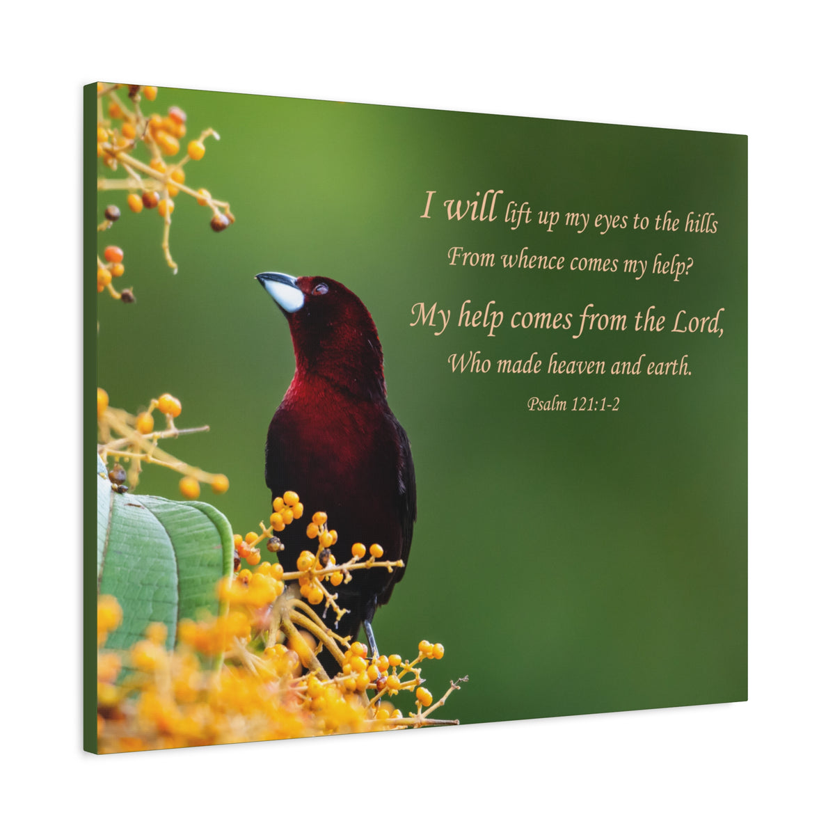 Scripture Walls Psalm 121:1-2 Heaven and Earth Bible Verse Canvas Christian Wall Art Ready to Hang Unframed-Express Your Love Gifts