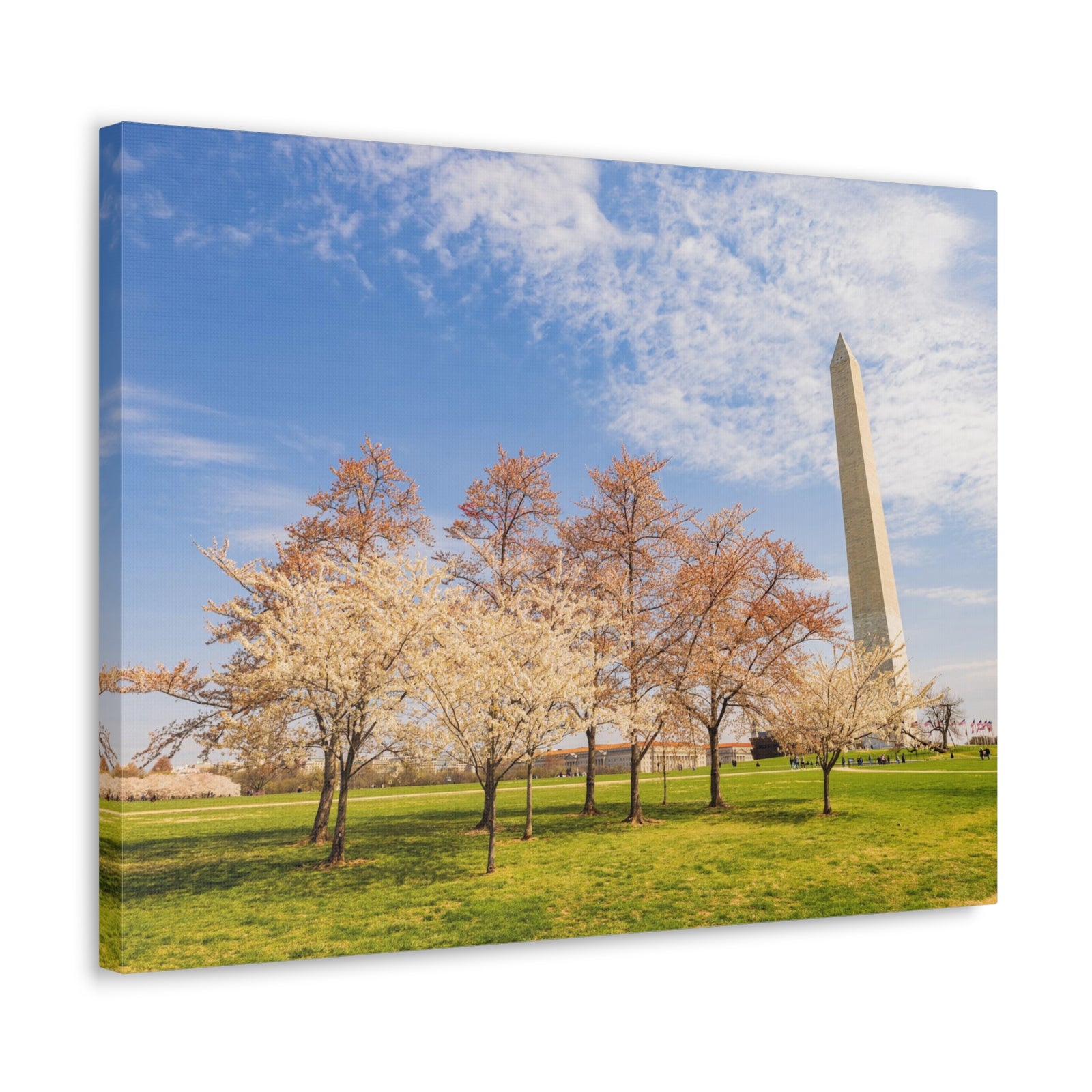 Pink Tree Cherry Blossom Festival at The National Mall Washington Modern Multicolor Scenic Nature Photography Canvas Home Office Decor Ready to Hang-Express Your Love Gifts