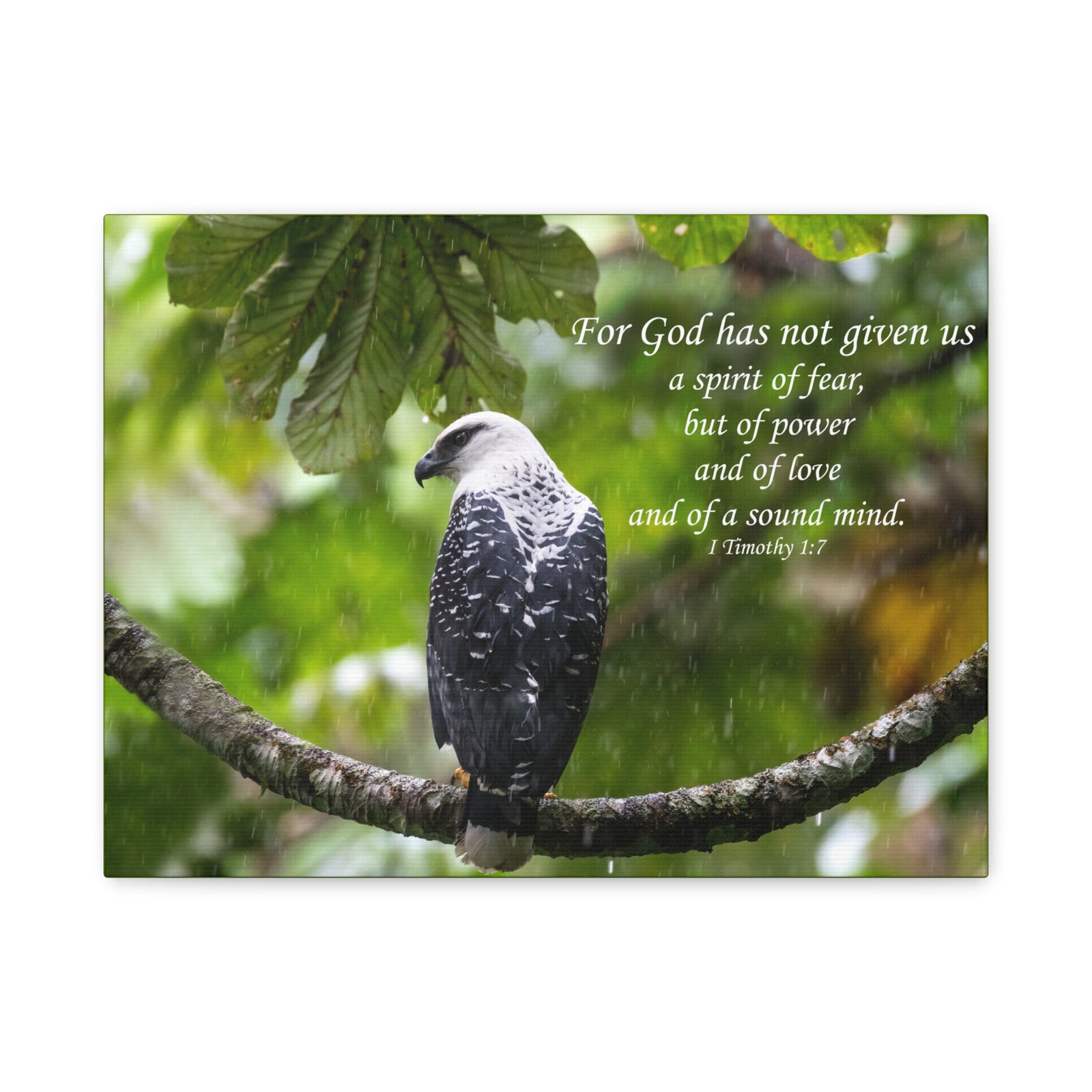 Scripture Canvas A Sound Mind 1 Timothy 1:7 Christian Wall Art Bible Verse Print Ready to Hang-Express Your Love Gifts