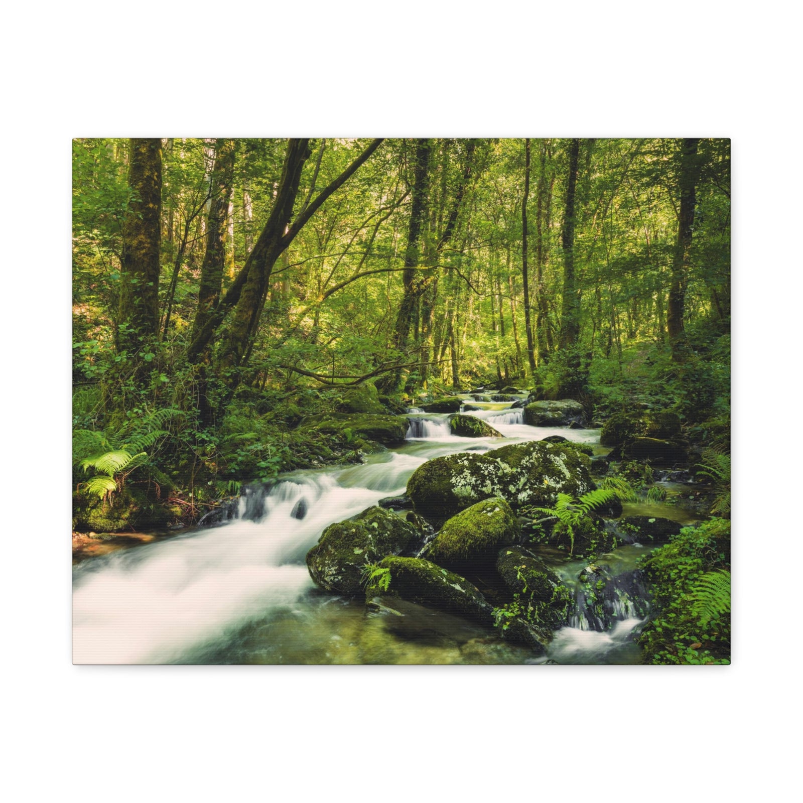 Green Forest River Nature Wilderness Photography Canvas Wall Art for Home Decor Ready-to-Hang-Express Your Love Gifts