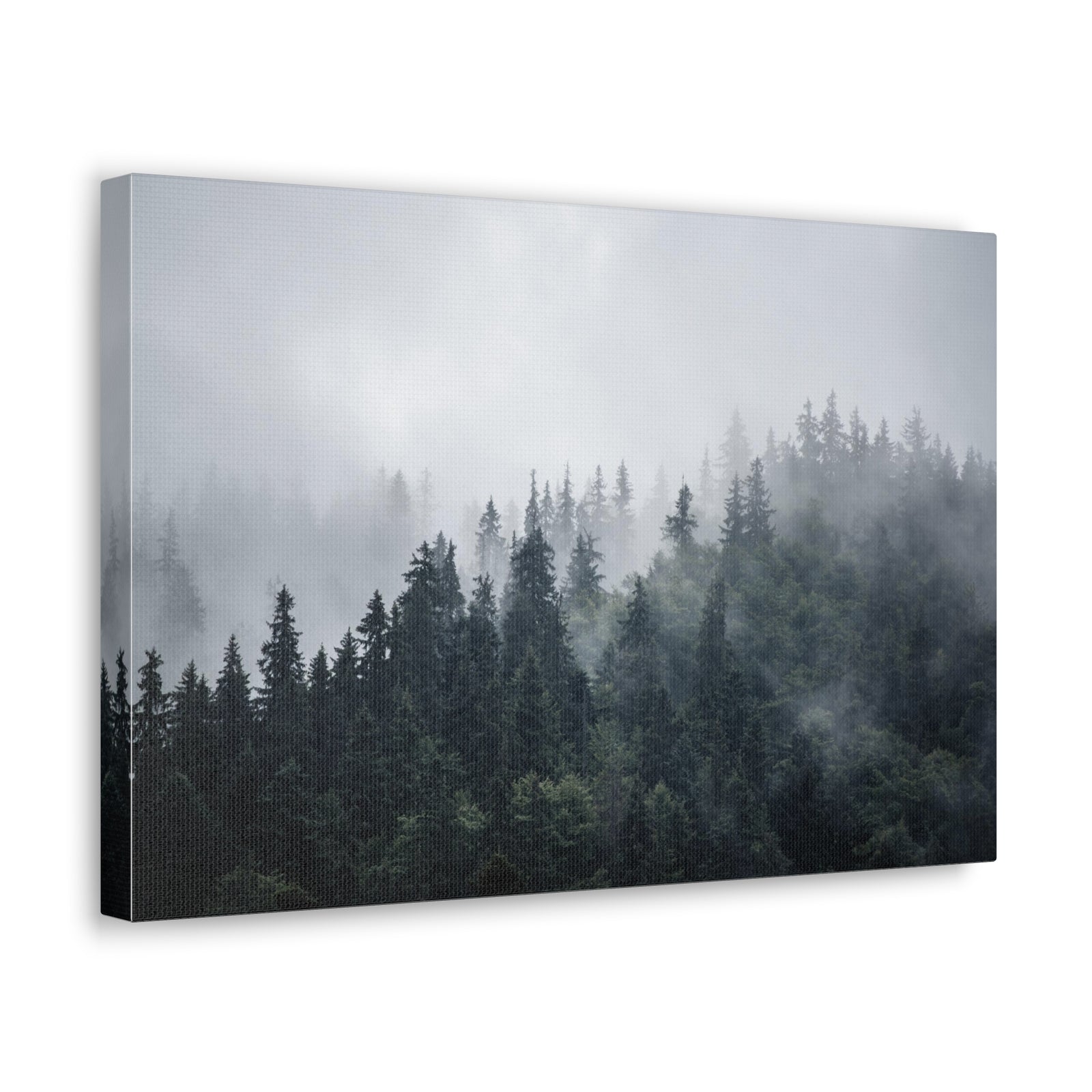 Foggy Pine Tree Green Forest Nature Wilderness Photography Canvas Wall Art for Home Decor Ready-to-Hang-Express Your Love Gifts