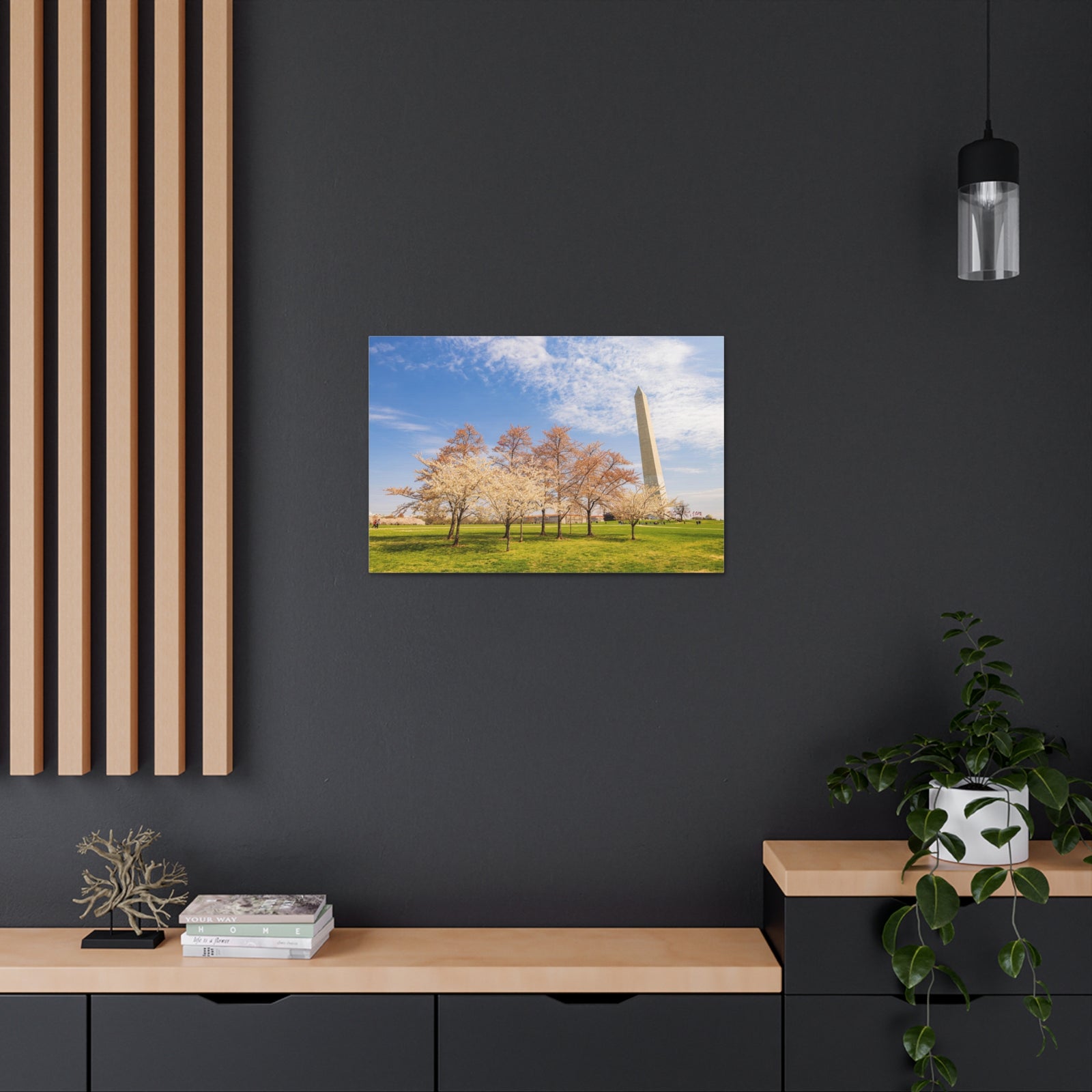 Pink Tree Cherry Blossom Festival at The National Mall Washington Modern Multicolor Scenic Nature Photography Canvas Home Office Decor Ready to Hang-Express Your Love Gifts