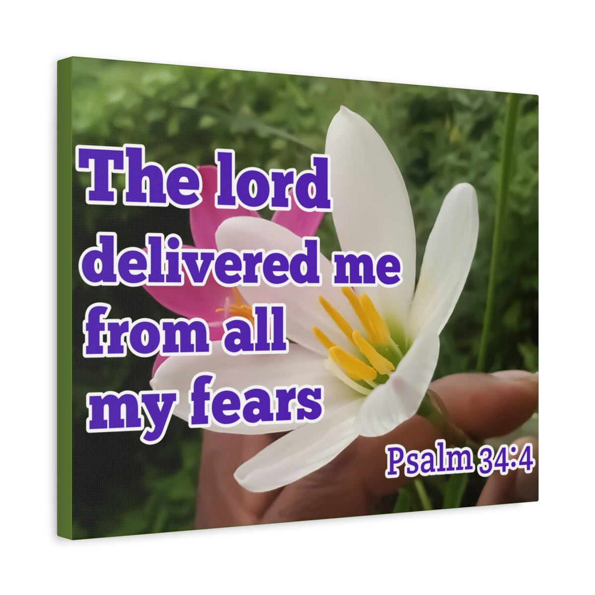 Scripture Walls The Lord Delivered Me Psalm 34:4 Bible Verse Canvas Christian Wall Art Ready to Hang-Express Your Love Gifts