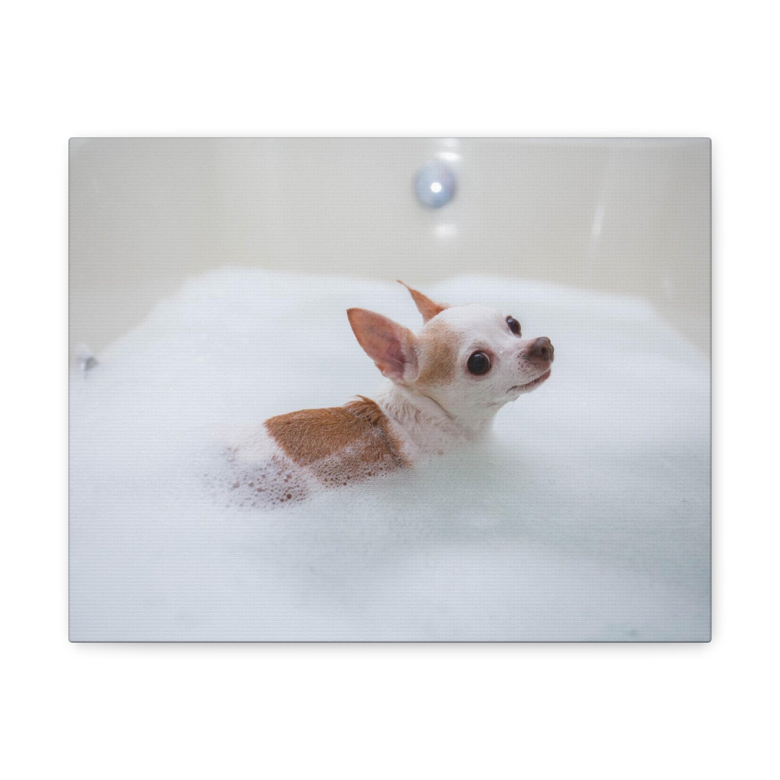 Cute Chihuahua Bathee Canvas Wall Art for Home Decor Ready-to-Hang-Express Your Love Gifts