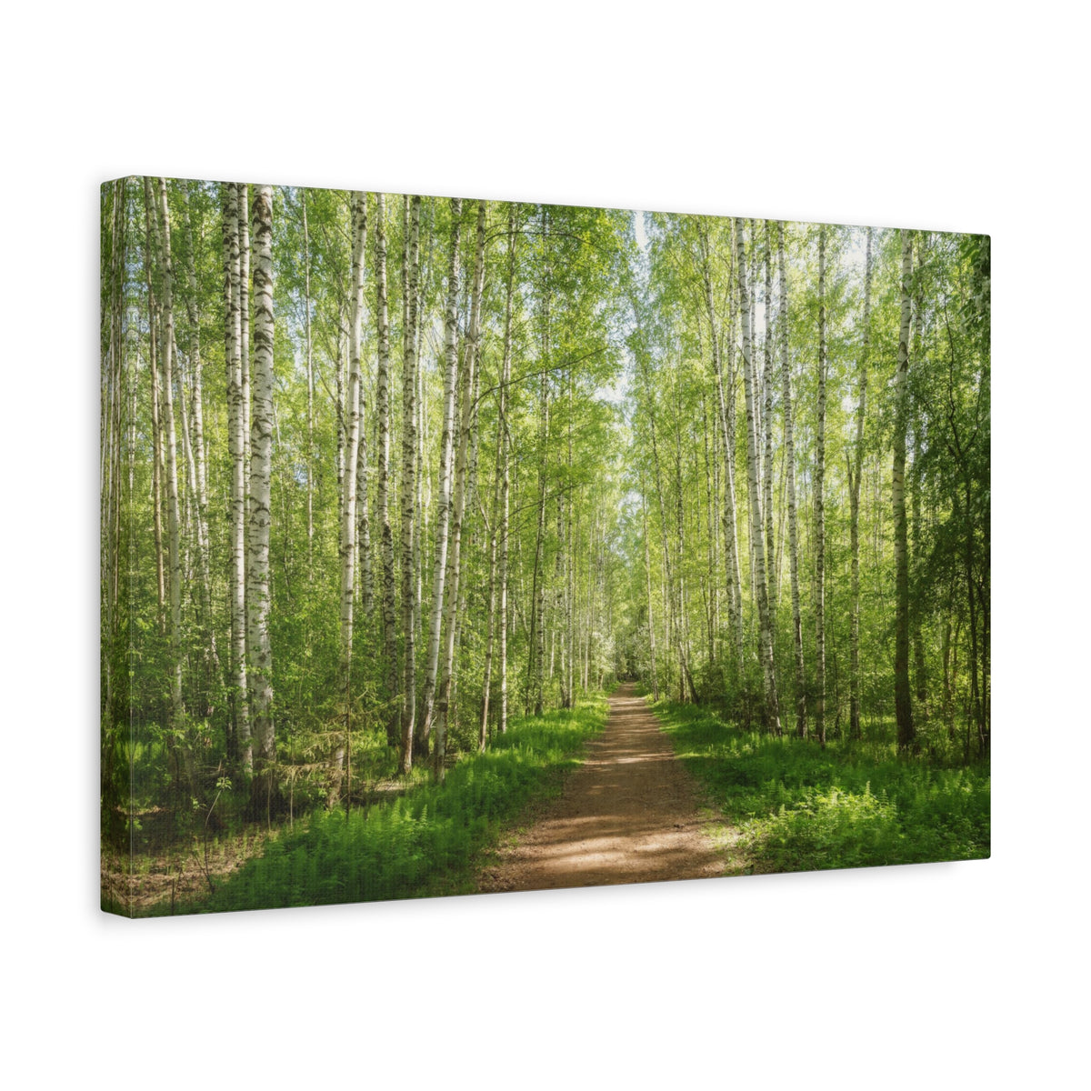 Forest Path Green Tree Nature Wilderness Photography Canvas Wall Art for Home Decor Ready-to-Hang-Express Your Love Gifts