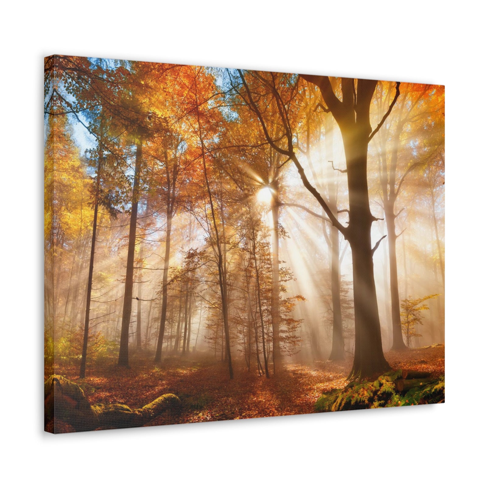 Sunlight Shine Autumn Forest Nature Wilderness Photography Canvas Wall Art for Home Decor Ready-to-Hang-Express Your Love Gifts