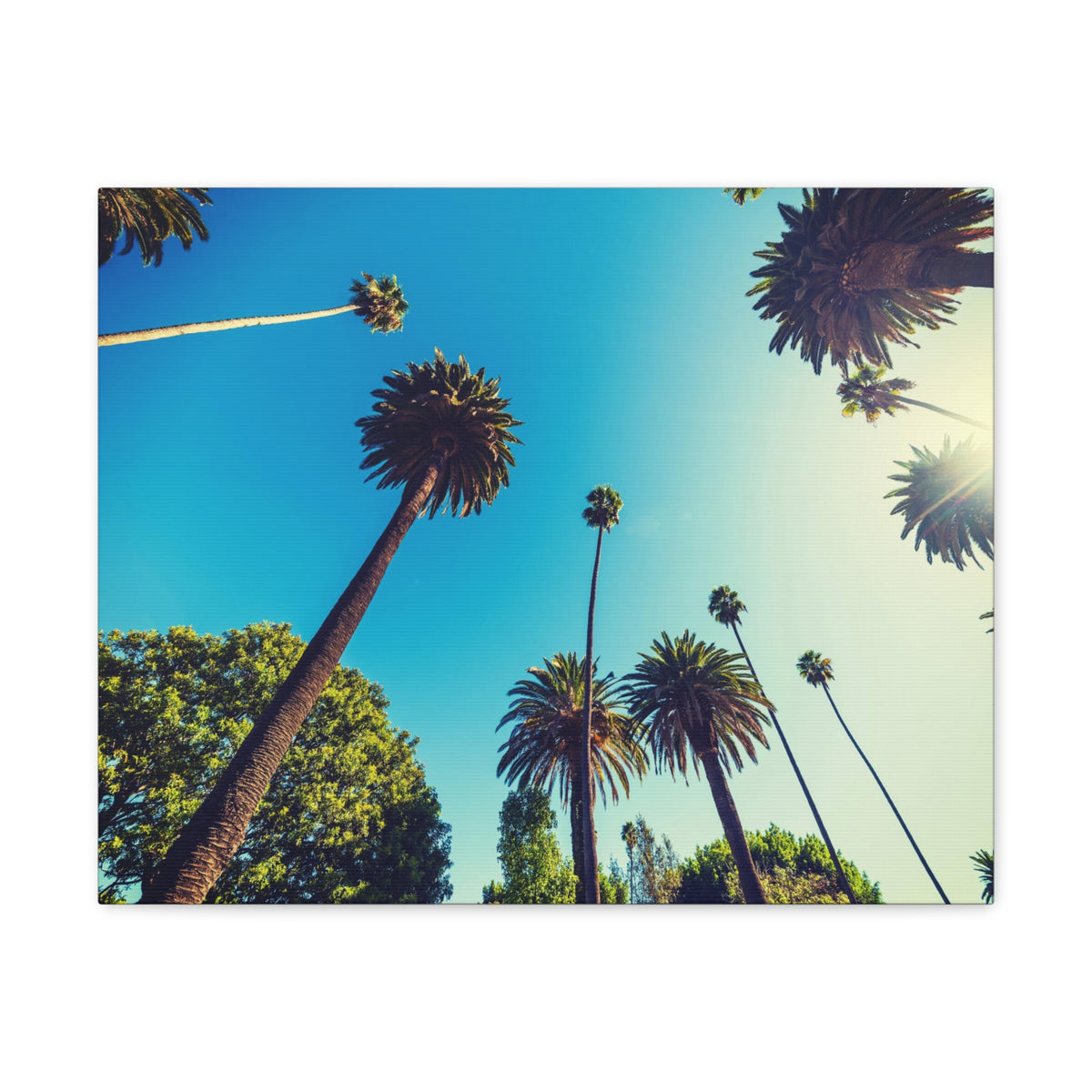 Los Angeles Sky Palm Trees Nature Wilderness Photography Canvas Wall Art for Home Decor Ready-to-Hang-Express Your Love Gifts