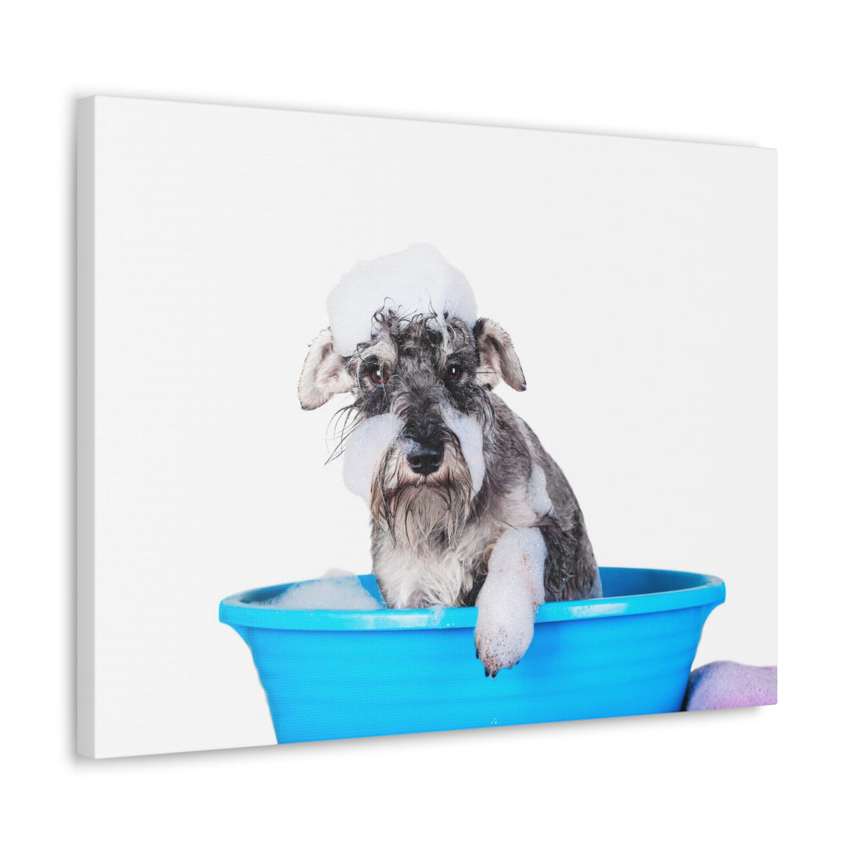 Cute Schnauzer Bath Canvas Wall Art for Home Decor Ready-to-Hang-Express Your Love Gifts