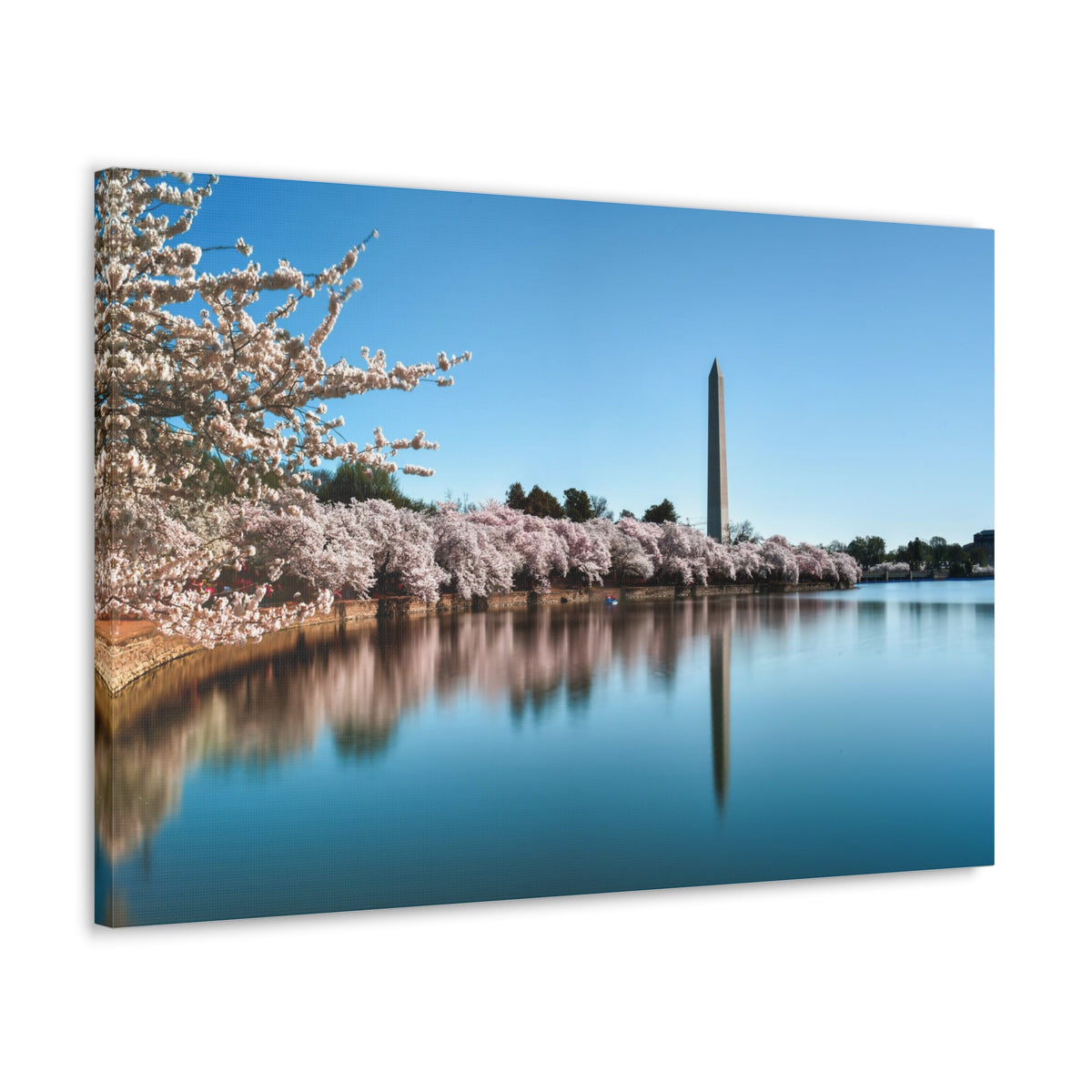 Cherry Blossom Festival at The National Mall Washington Modern Multicolor Scenic Nature Photography Canvas Home Office Decor Ready to Hang-Express Your Love Gifts