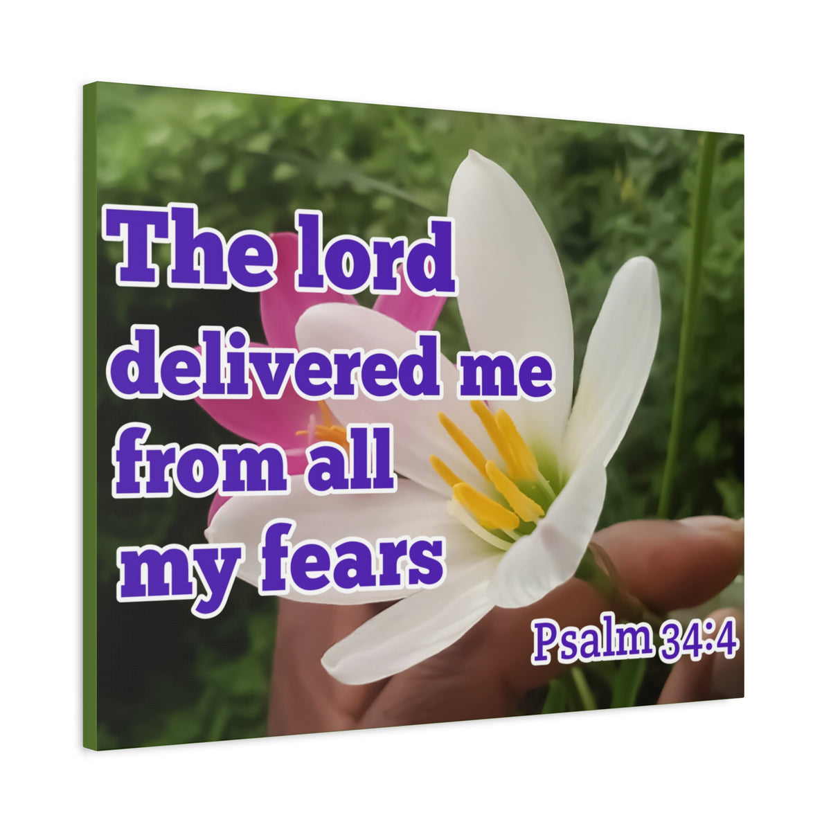 Scripture Walls The Lord Delivered Me Psalm 34:4 Bible Verse Canvas Christian Wall Art Ready to Hang-Express Your Love Gifts