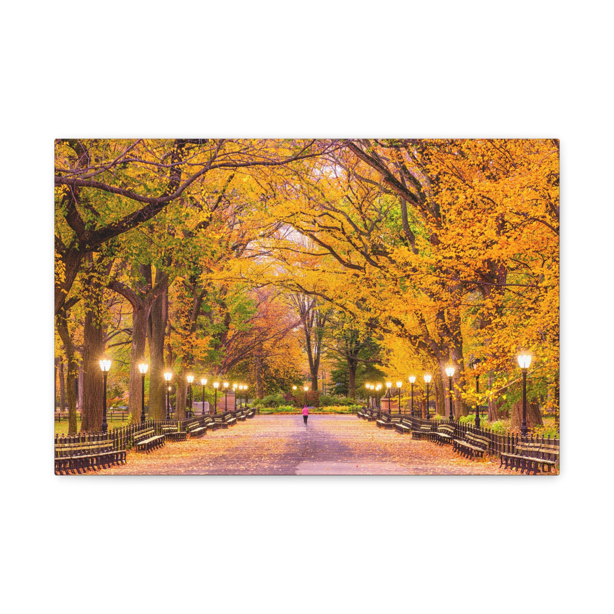 Orange Tree Autumn Park Nature Wilderness Photography Canvas Wall Art for Home Decor Ready-to-Hang-Express Your Love Gifts