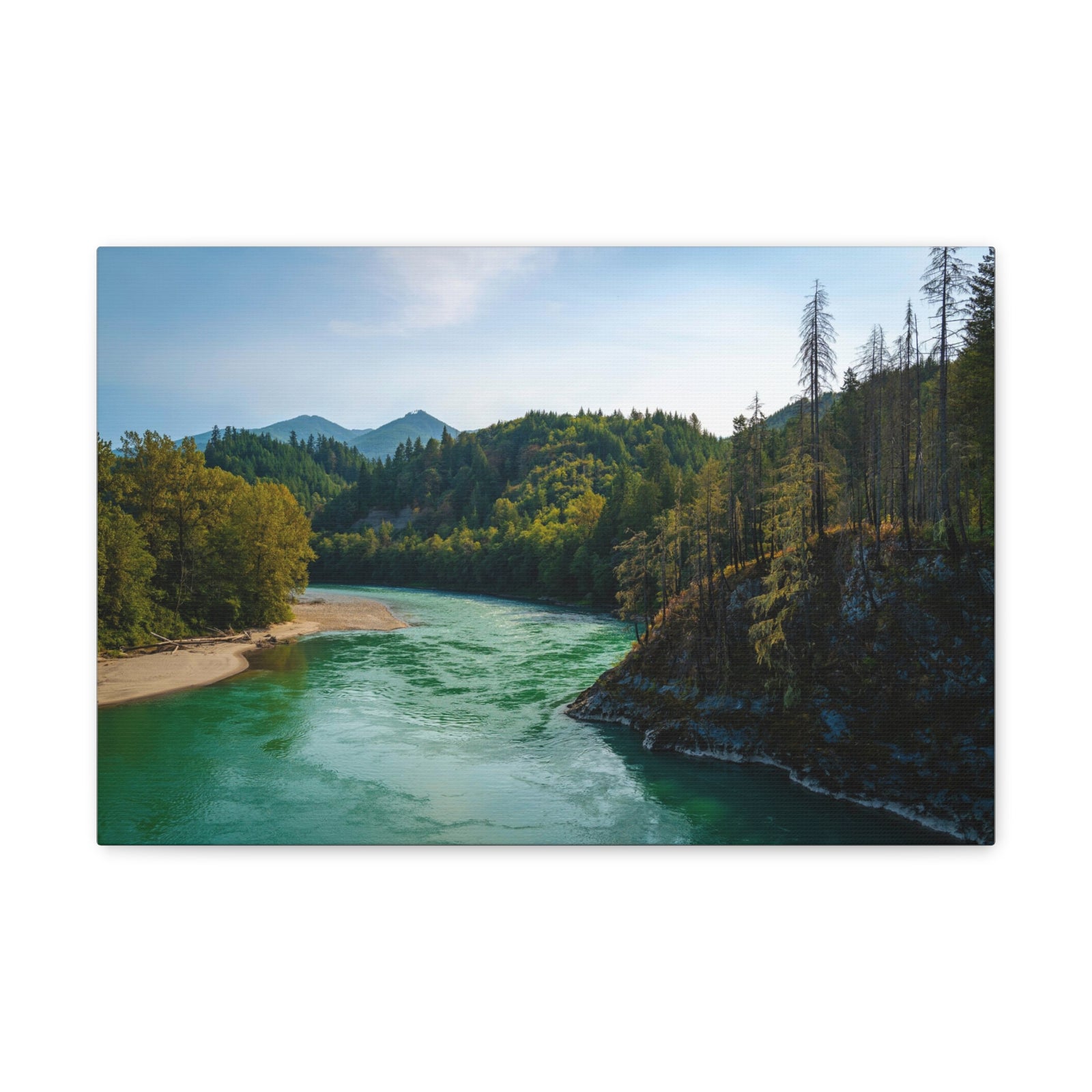 River Through Pine Tree Green Forest Nature Wilderness Photography Canvas Wall Art for Home Decor Ready-to-Hang-Express Your Love Gifts