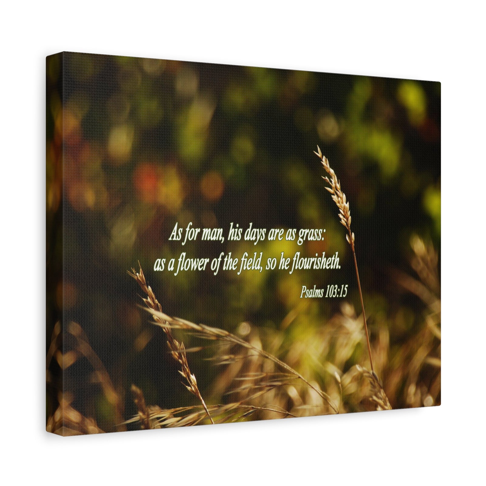 Scripture Canvas Flower of the Field Psalm 103:15 Christian Wall Art Bible Verse Print Ready to Hang-Express Your Love Gifts