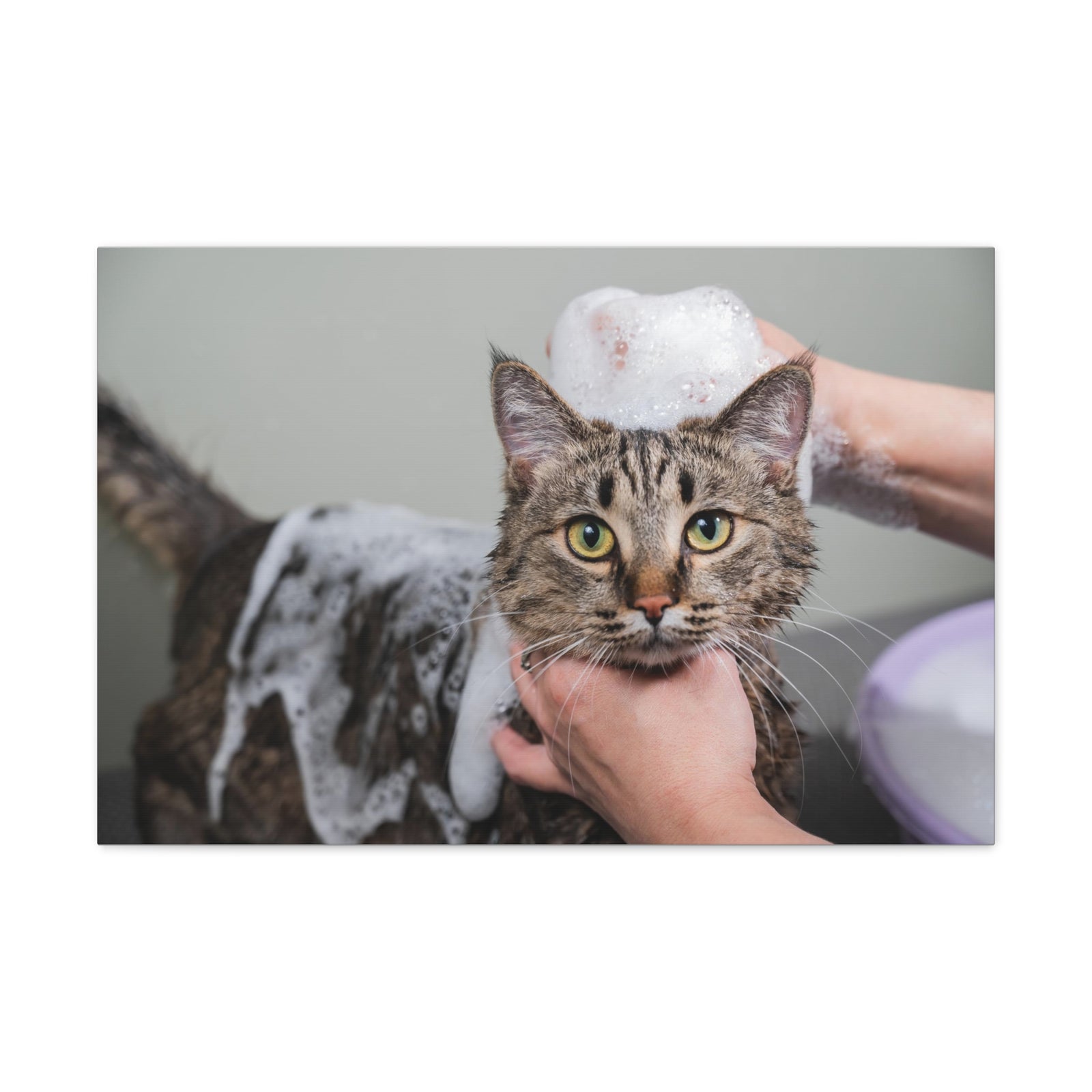 Cute Gray Cat Bath Canvas Wall Art for Home Decor Ready-to-Hang-Express Your Love Gifts
