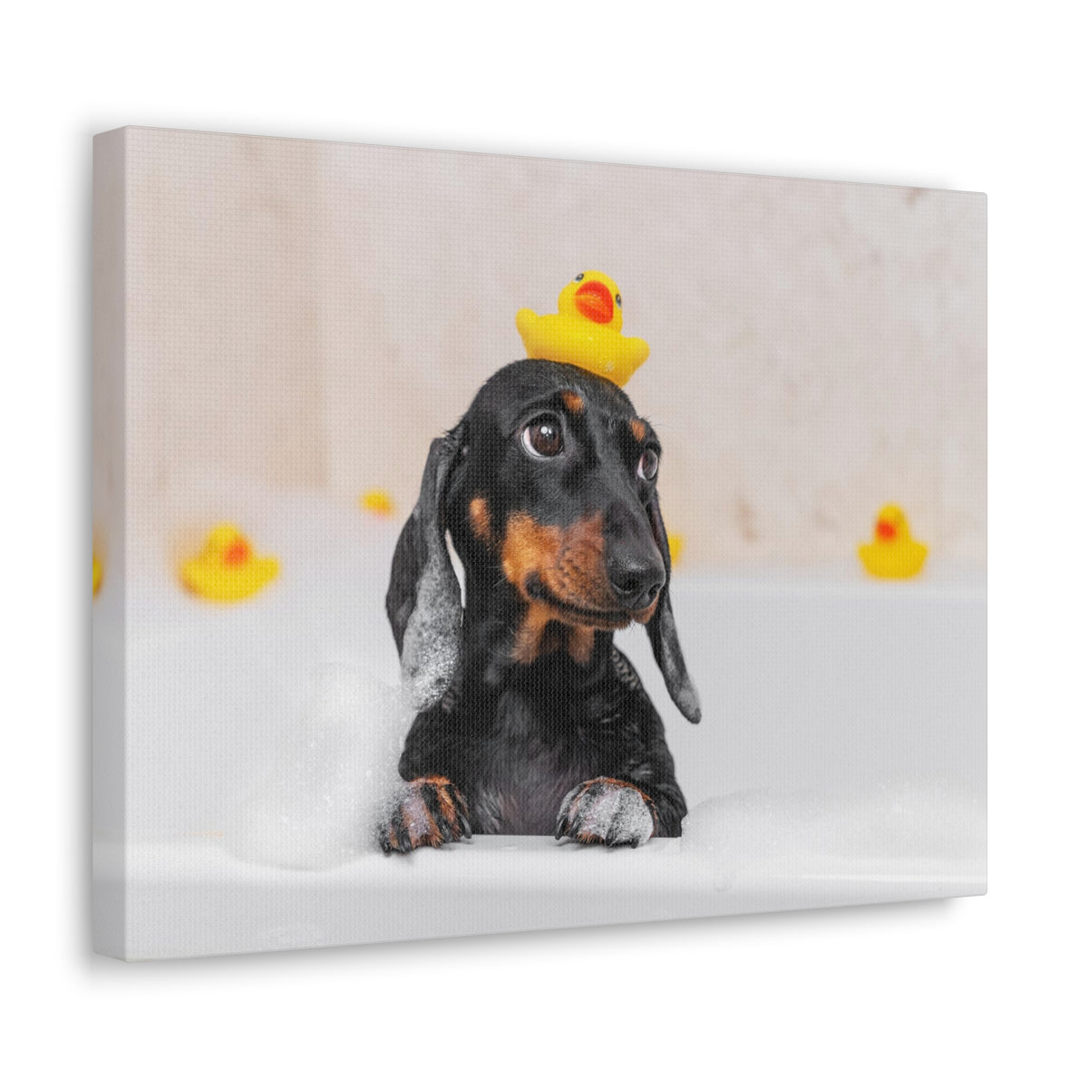 Dachshund In Bathtub With Yellow Duck On Toilet Funny Canvas Wall Art for Home Decor Ready-to-Hand-Express Your Love Gifts