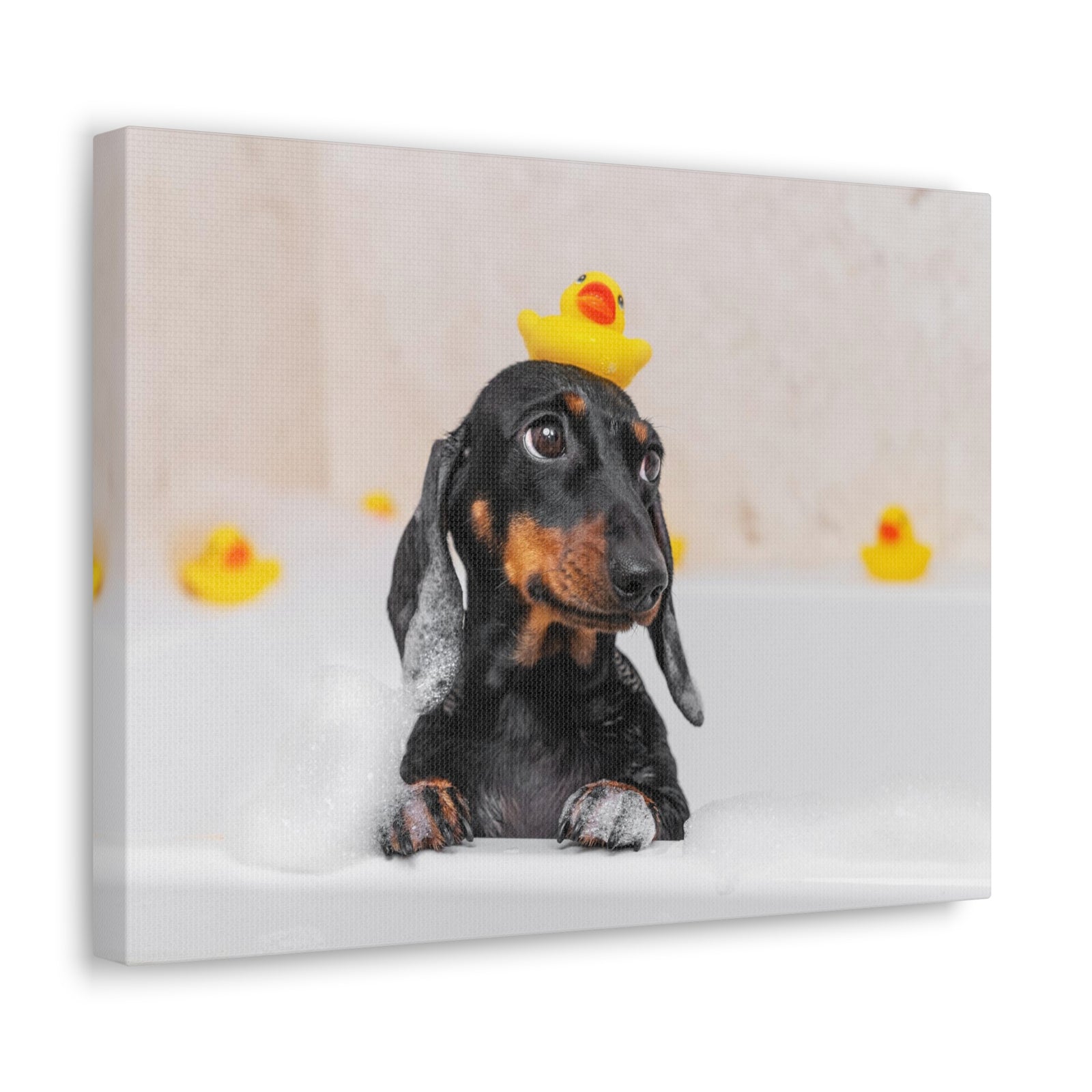 Dachshund In Bathtub With Yellow Duck On Toilet Funny Canvas Wall Art for Home Decor Ready-to-Hand-Express Your Love Gifts