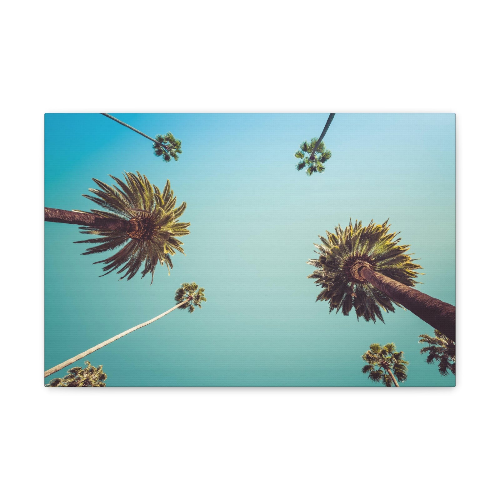 Los Angeles Palm Trees Modern Multicolor Scenic Nature Photography Canvas Home Office Decor Ready to Hang-Express Your Love Gifts