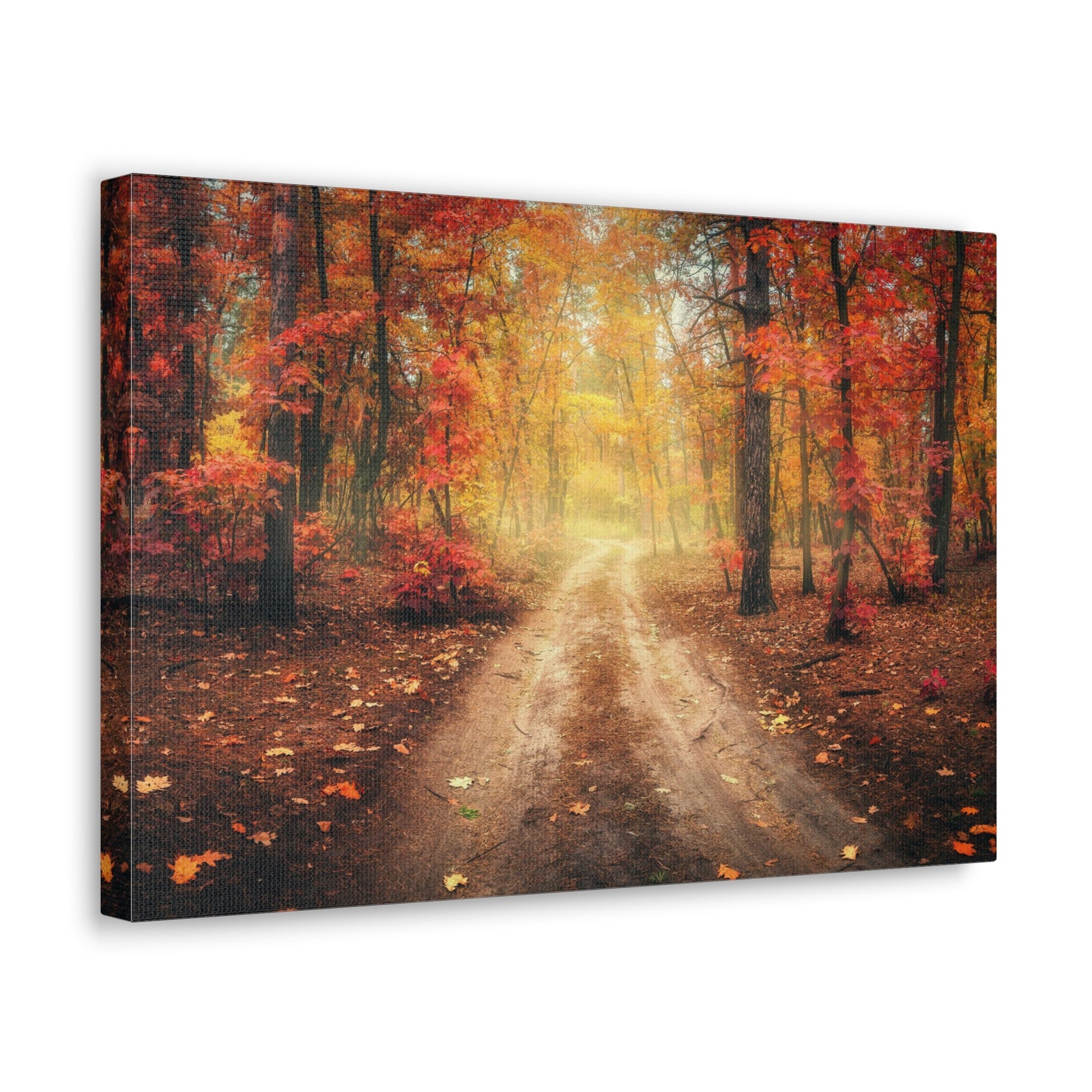 Autumn Forest Misty Orange Tree Path Nature Wilderness Photography Canvas Wall Art for Home Decor Ready-to-Hang-Express Your Love Gifts