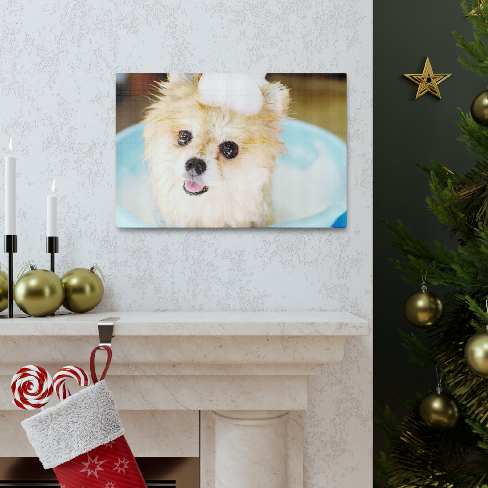 Cute Pomeranian Bathee Canvas Wall Art for Home Decor Ready-to-Hang-Express Your Love Gifts