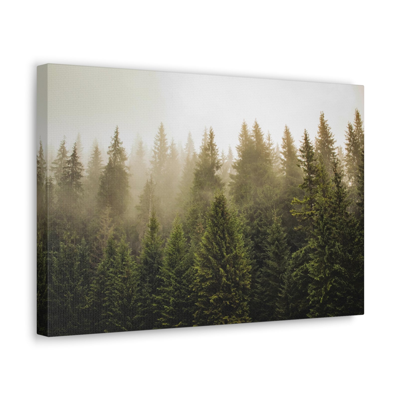 Misty Pine Tree Forest Nature Wilderness Photography Canvas Wall Art for Home Decor Ready-to-Hang-Express Your Love Gifts