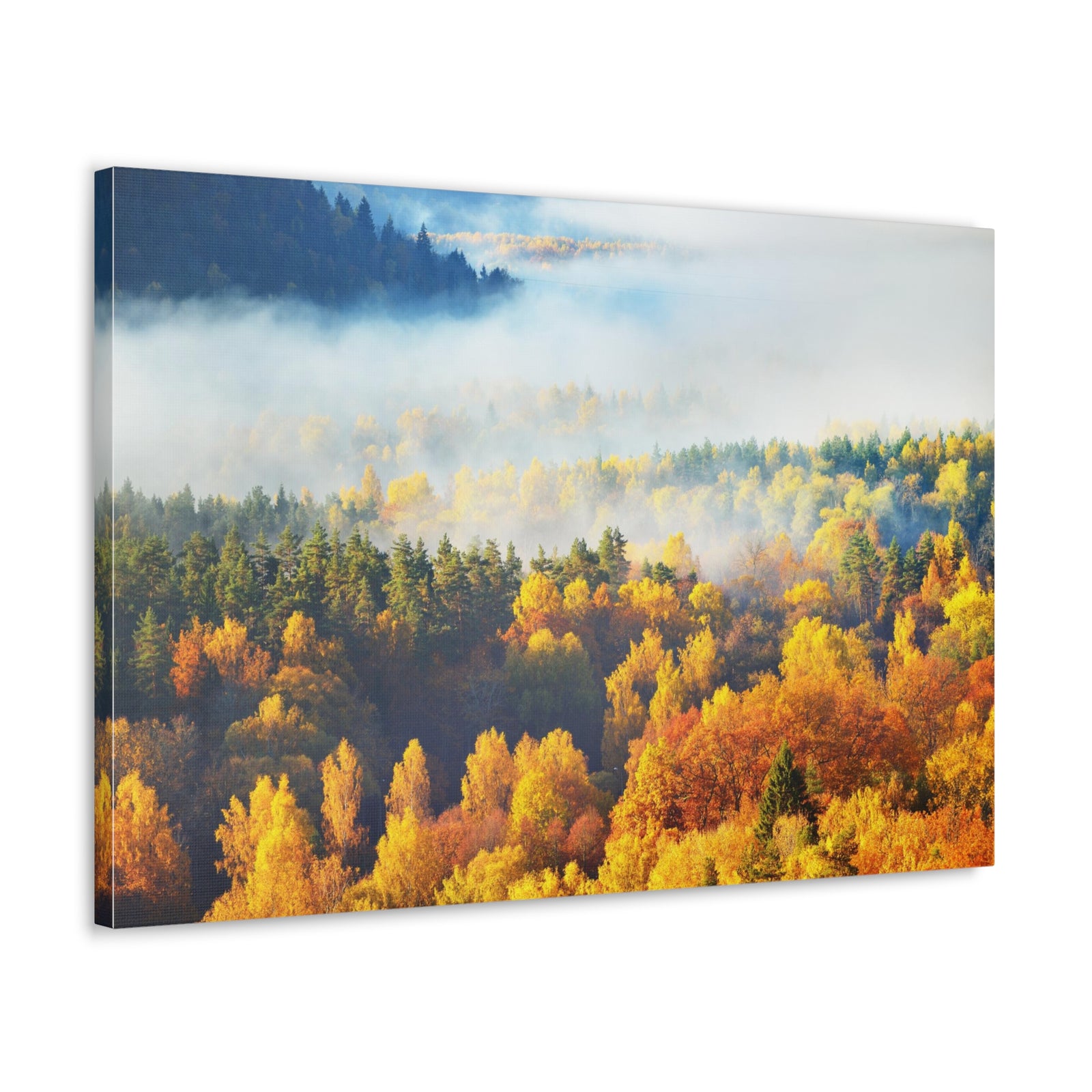 Forest Mystic Autumn Nature Wilderness Photography Canvas Wall Art for Home Decor Ready-to-Hang-Express Your Love Gifts