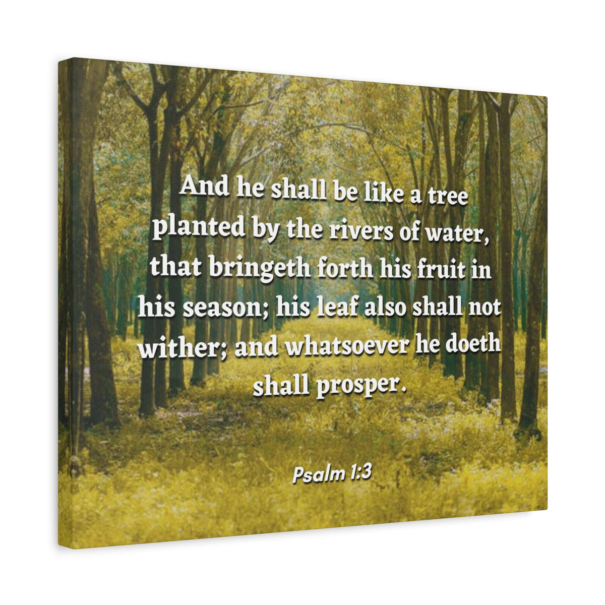 Scripture Canvas Shall Prosper Psalms 1:3 Christian Wall Art Bible Verse Print Ready to Hang-Express Your Love Gifts