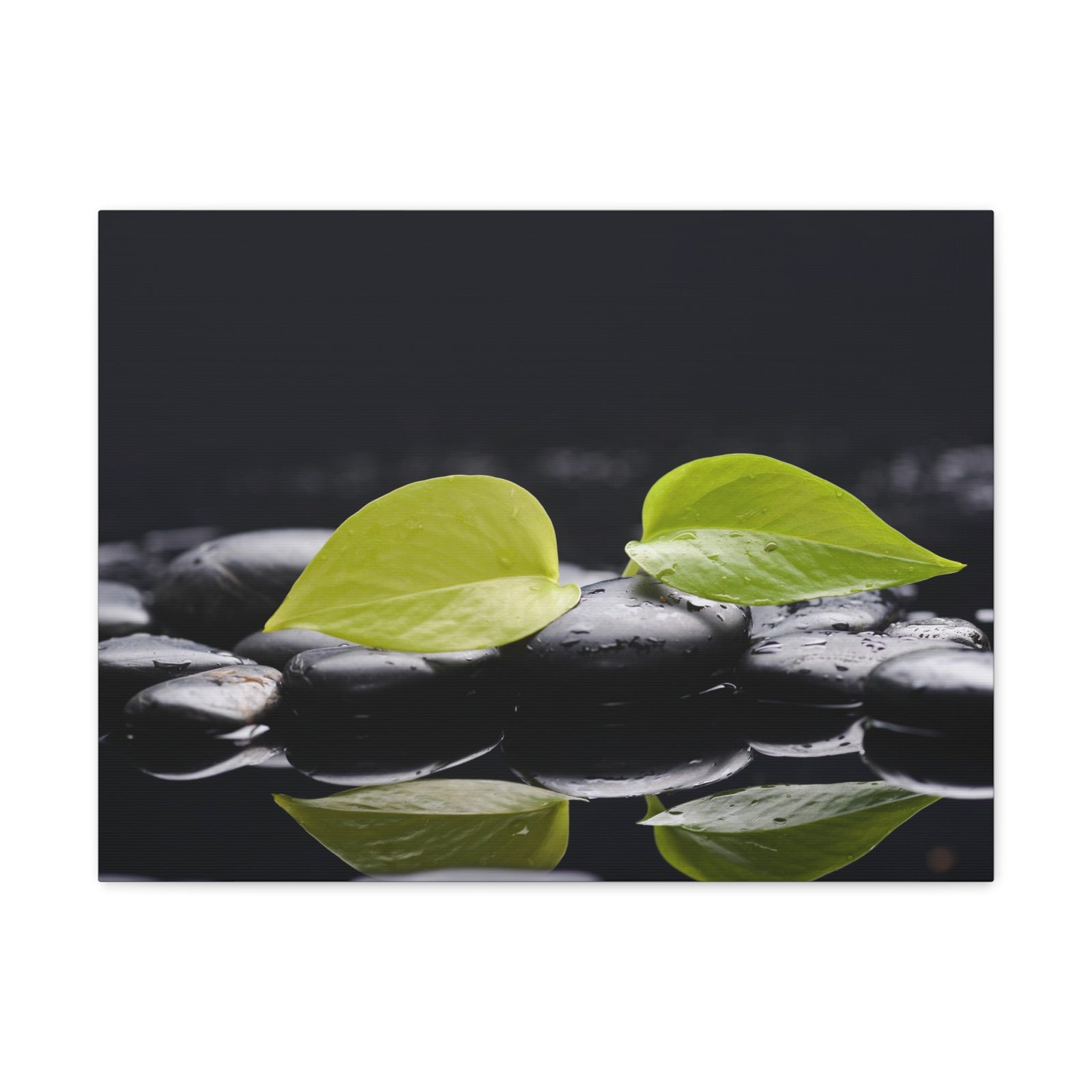 Green Leaf with Stones Forest Floral Nature Photography Canvas Wall Art for Home Decor Ready-to-Hang-Express Your Love Gifts