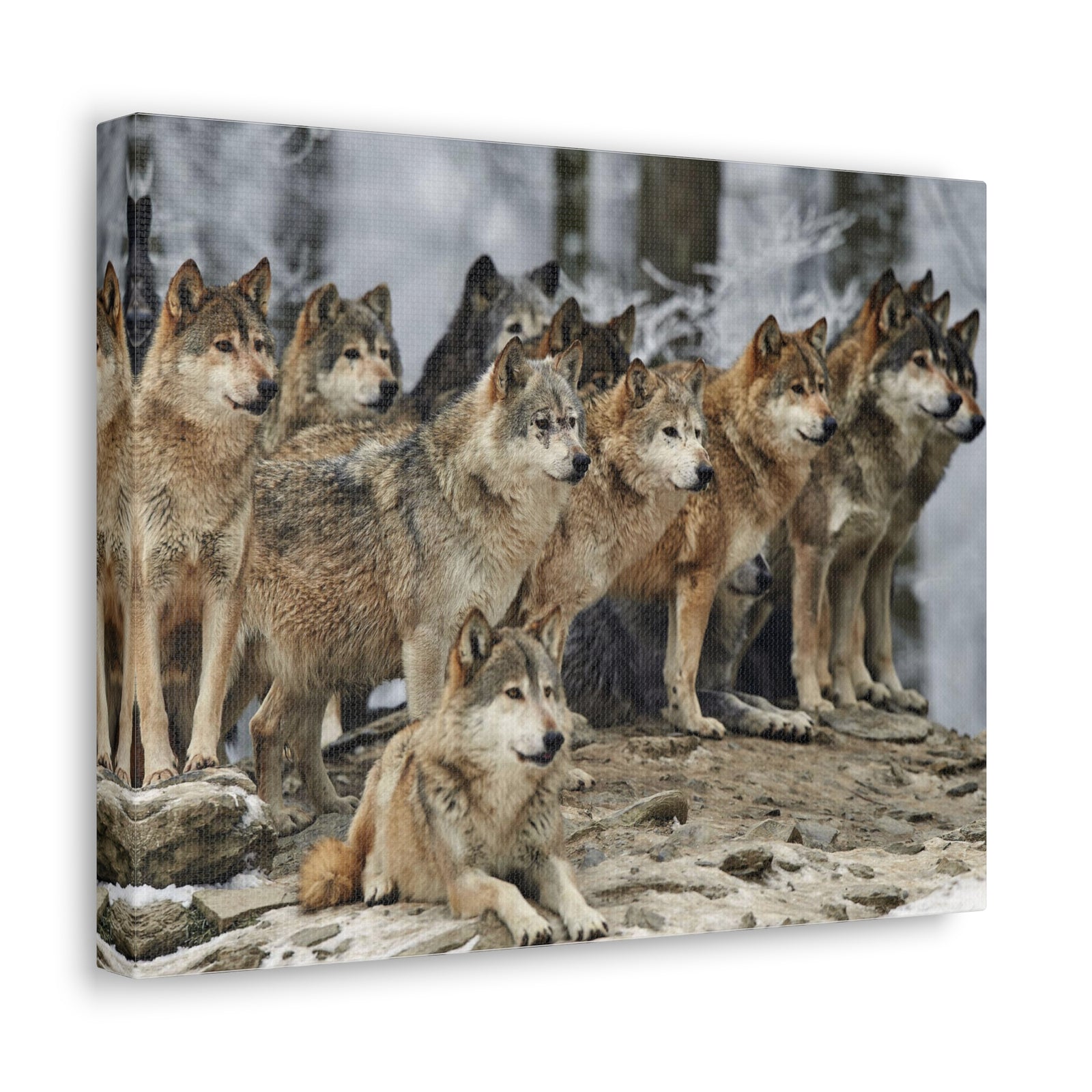 Wolf Pack Ready To Hang Stretched Canvas Wall Art-Express Your Love Gifts