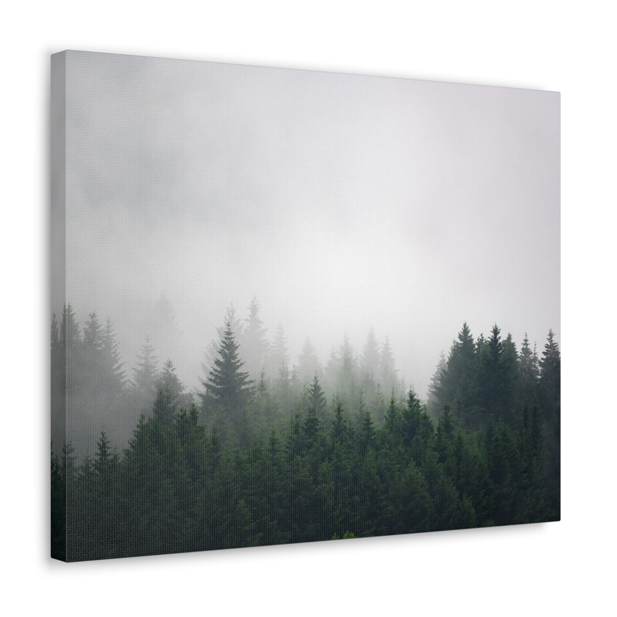 Foggy Dark Forest Nature Wilderness Photography Canvas Wall Art for Home Decor Ready-to-Hang-Express Your Love Gifts