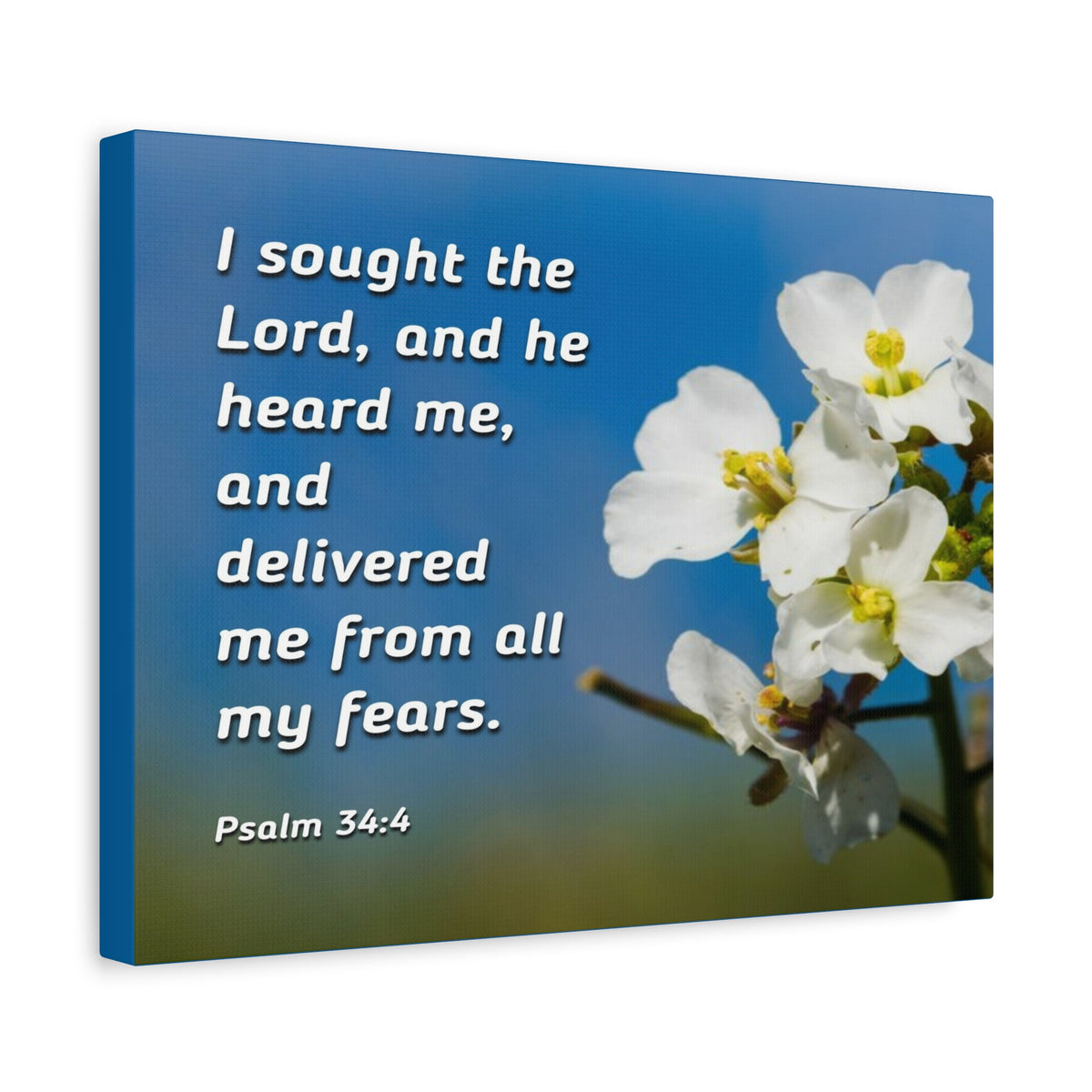 Scripture Canvas He Heard Me Psalm 34:4 Christian Wall Art Bible Verse Print Ready to Hang-Express Your Love Gifts