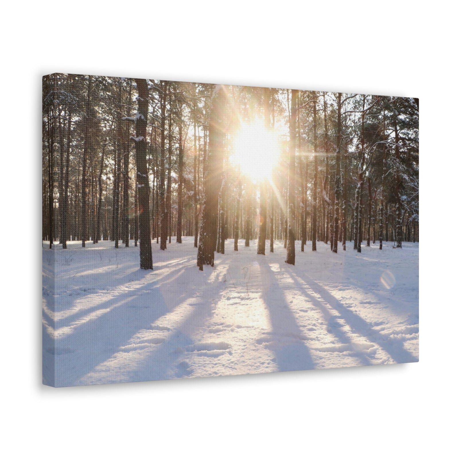 Tree Forest Covered In Snow Nature Wilderness Photography Canvas Wall Art for Home Decor Ready-to-Hang-Express Your Love Gifts