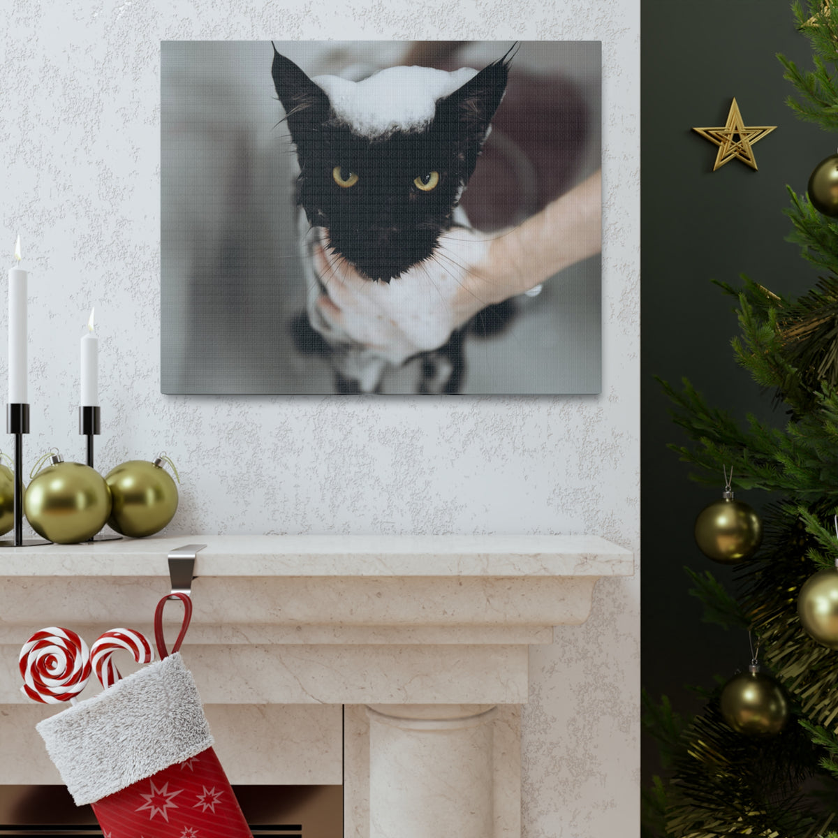 Cute Main Coon Bathee Canvas Wall Art for Home Decor Ready-to-Hang-Express Your Love Gifts