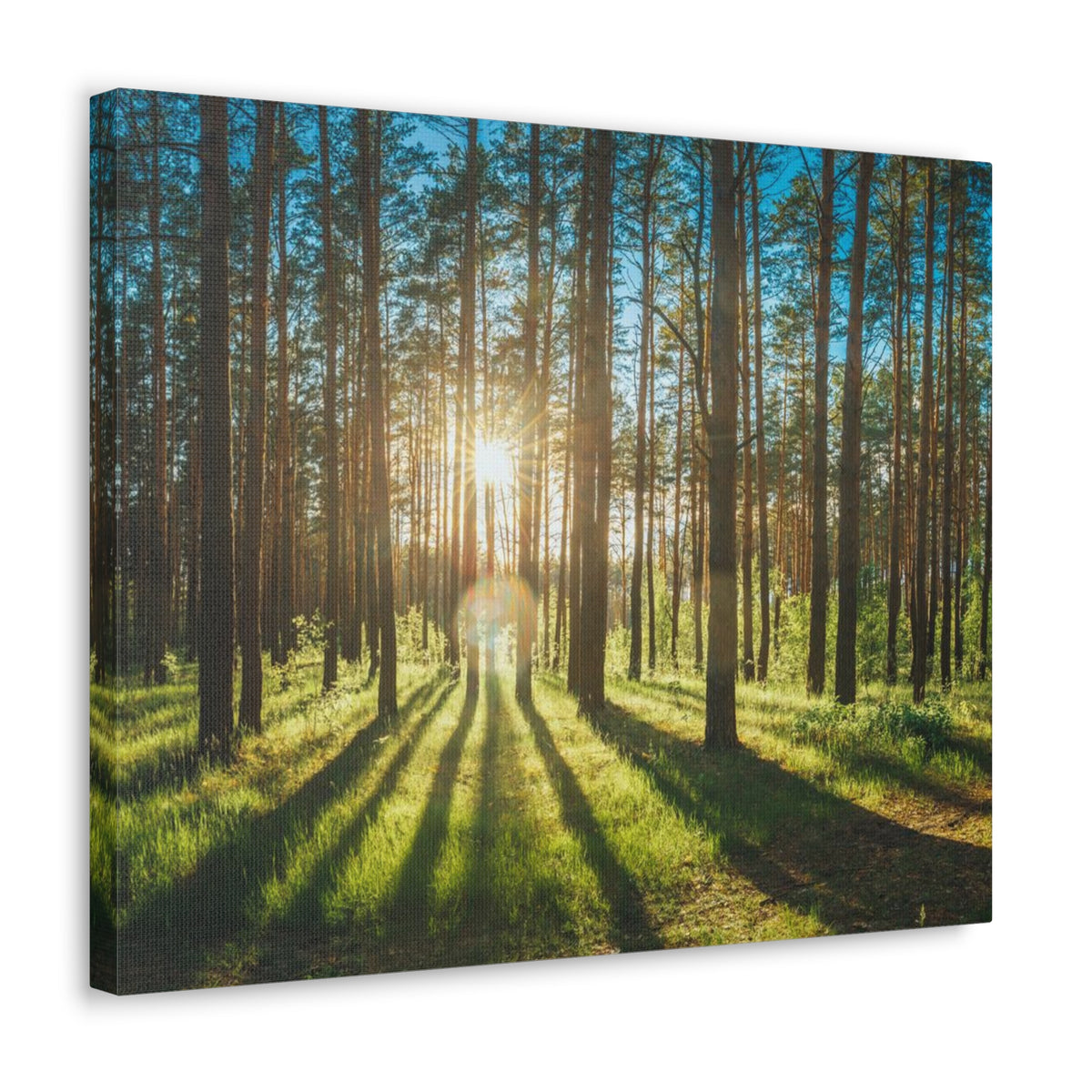 Forest Green Sunrise Nature Wilderness Photography Canvas Wall Art for Home Decor Ready-to-Hang-Express Your Love Gifts
