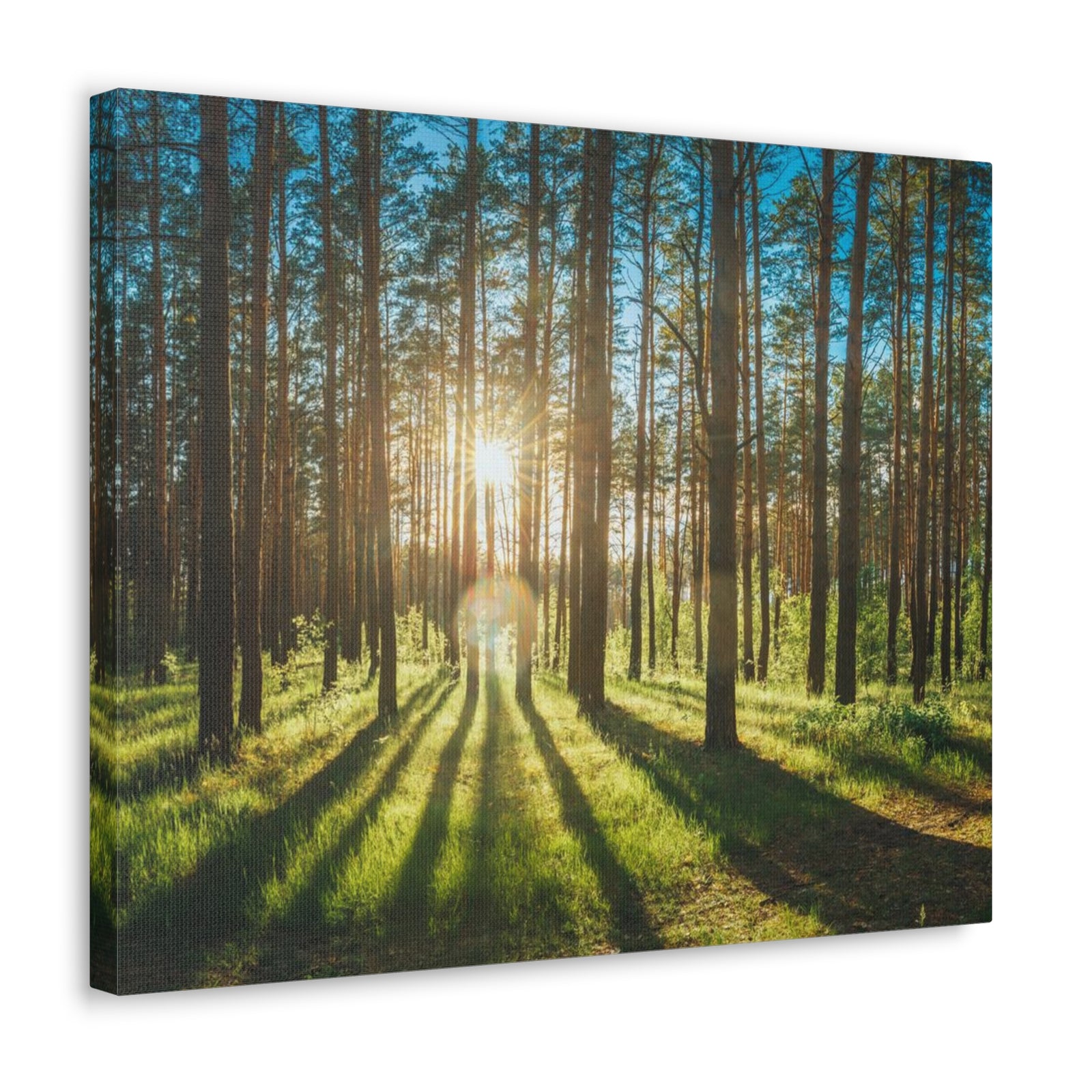 Forest Green Sunrise Nature Wilderness Photography Canvas Wall Art for Home Decor Ready-to-Hang-Express Your Love Gifts