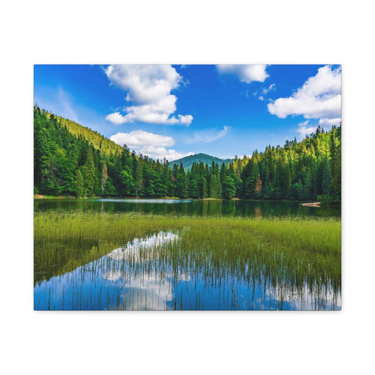 Teal Clear Forest LakeNature Wilderness Photography Canvas Wall Art for Home Decor Ready-to-Hang-Express Your Love Gifts
