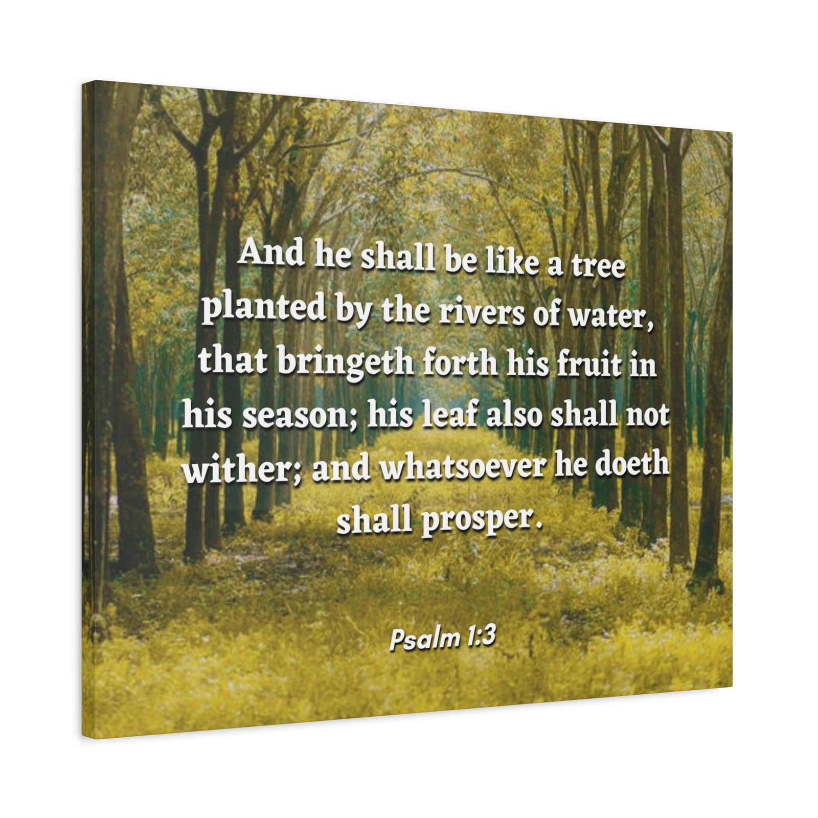 Scripture Canvas Shall Prosper Psalms 1:3 Christian Wall Art Bible Verse Print Ready to Hang-Express Your Love Gifts