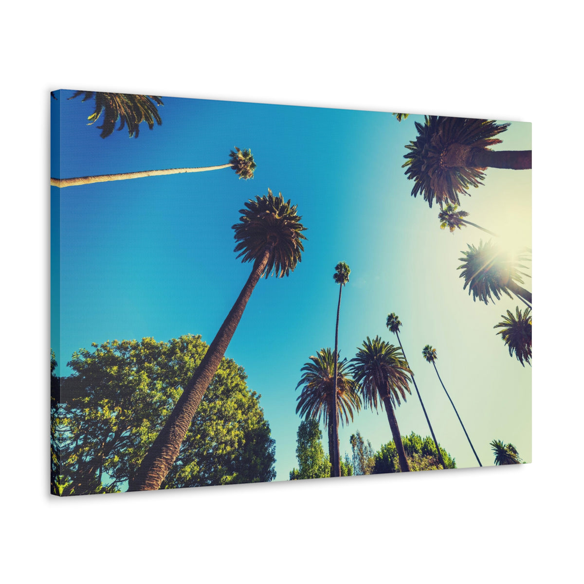 Los Angeles Sky Palm Trees Nature Wilderness Photography Canvas Wall Art for Home Decor Ready-to-Hang-Express Your Love Gifts