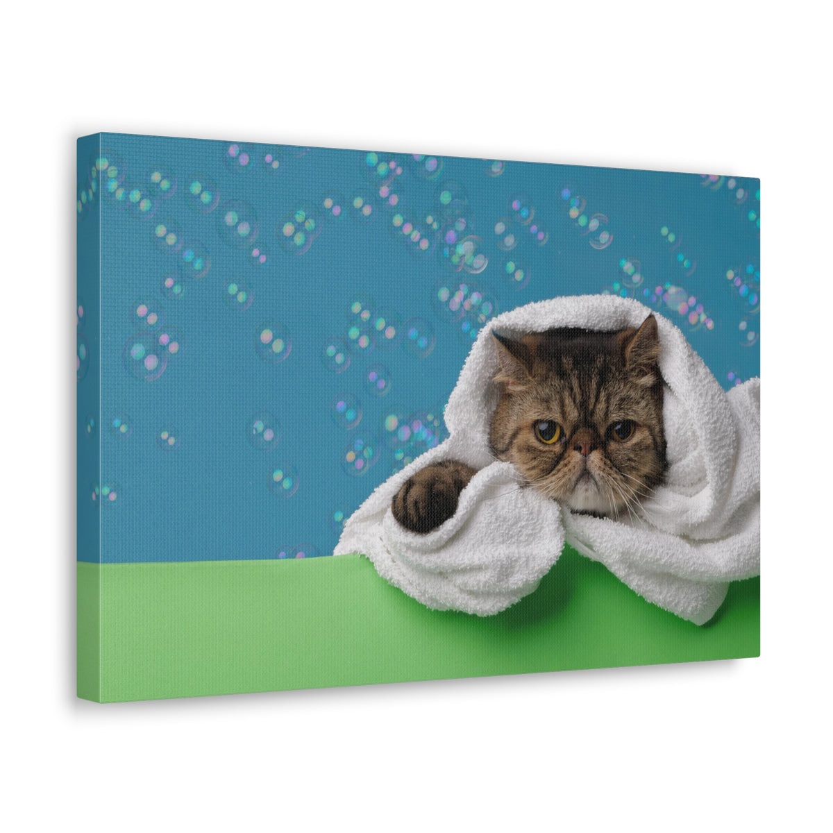 Cute Exotic Shorthair Bathee Canvas Wall Art for Home Decor Ready-to-Hang-Express Your Love Gifts