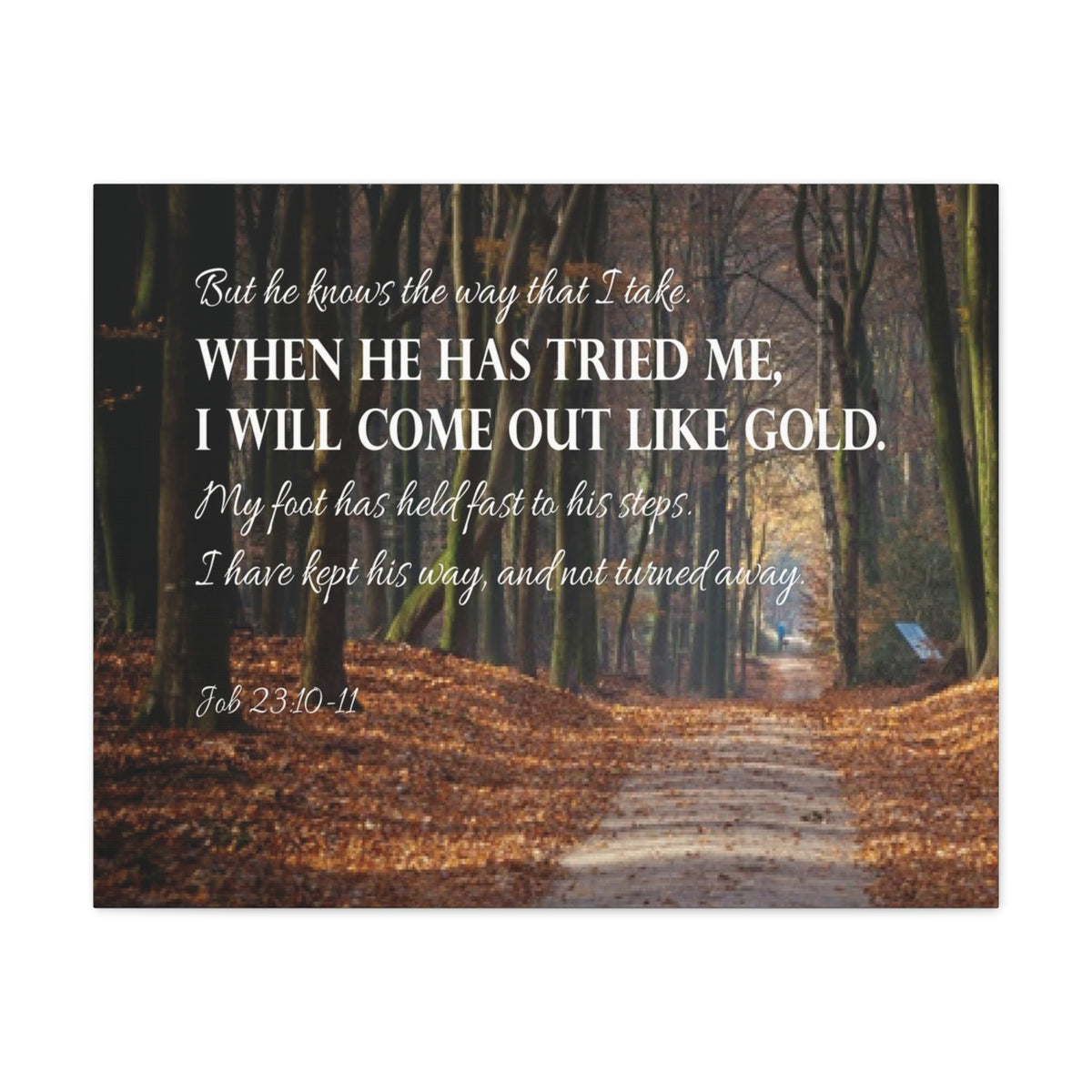 Bible Verse Canvas Come Out Like Gold Job 23:10-11 Scripture Wall Art Christian Home Decor-Express Your Love Gifts