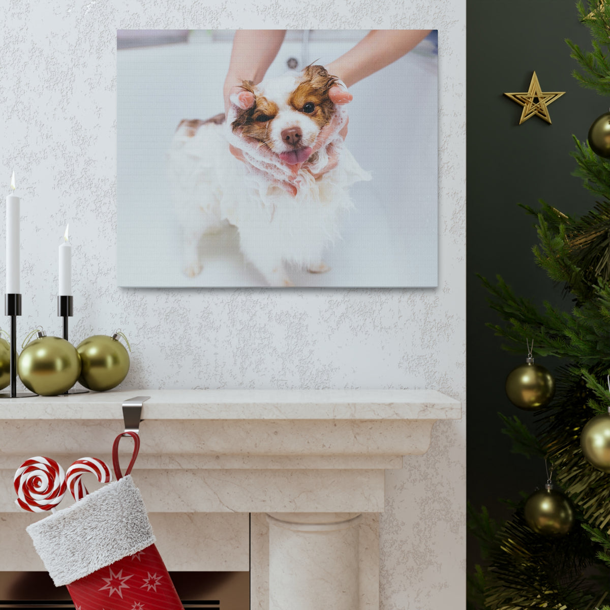 Funny Australian Shephard Bathee Canvas Wall Art for Home Decor Ready-to-Hang-Express Your Love Gifts