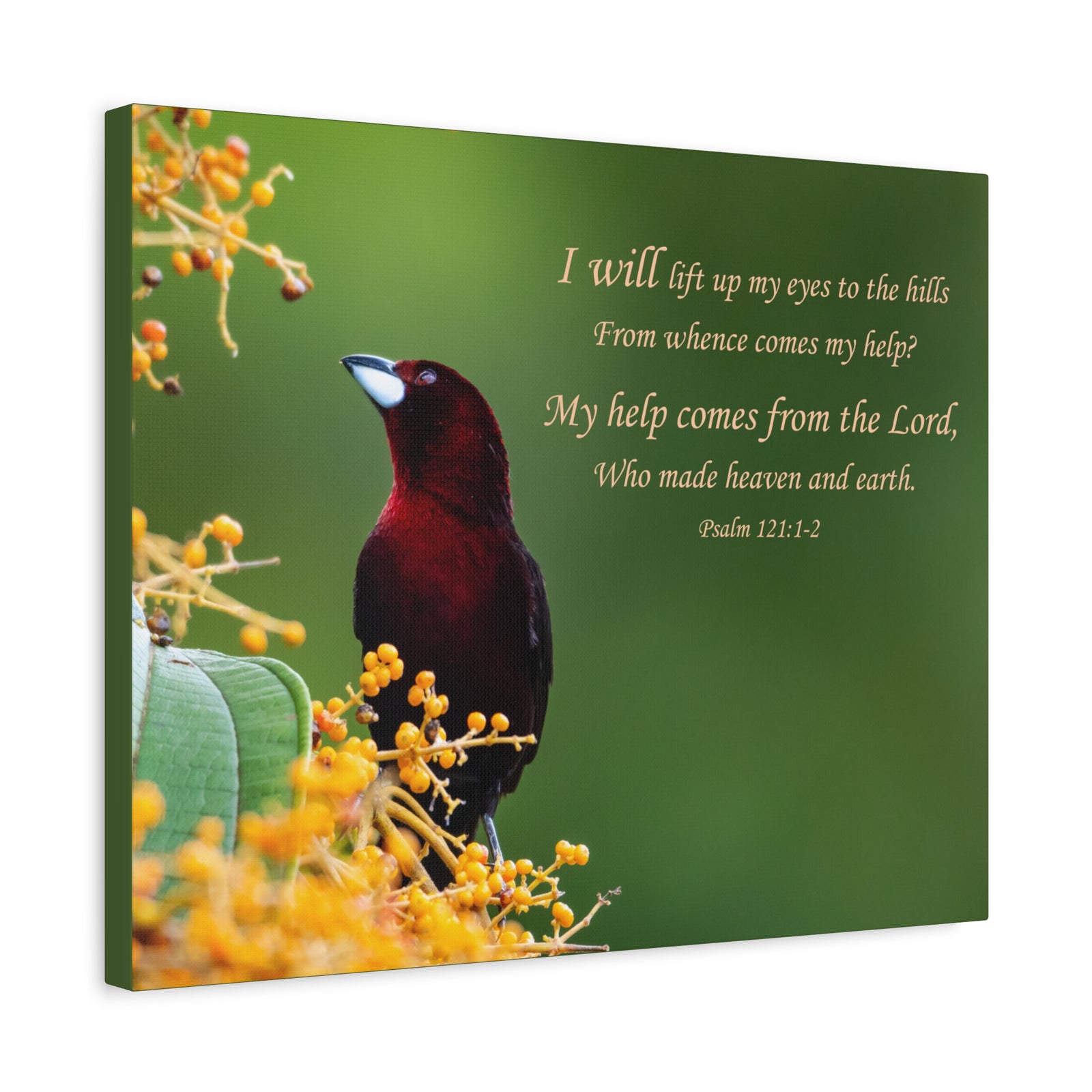 Scripture Walls Psalm 121:1-2 Heaven and Earth Bible Verse Canvas Christian Wall Art Ready to Hang Unframed-Express Your Love Gifts
