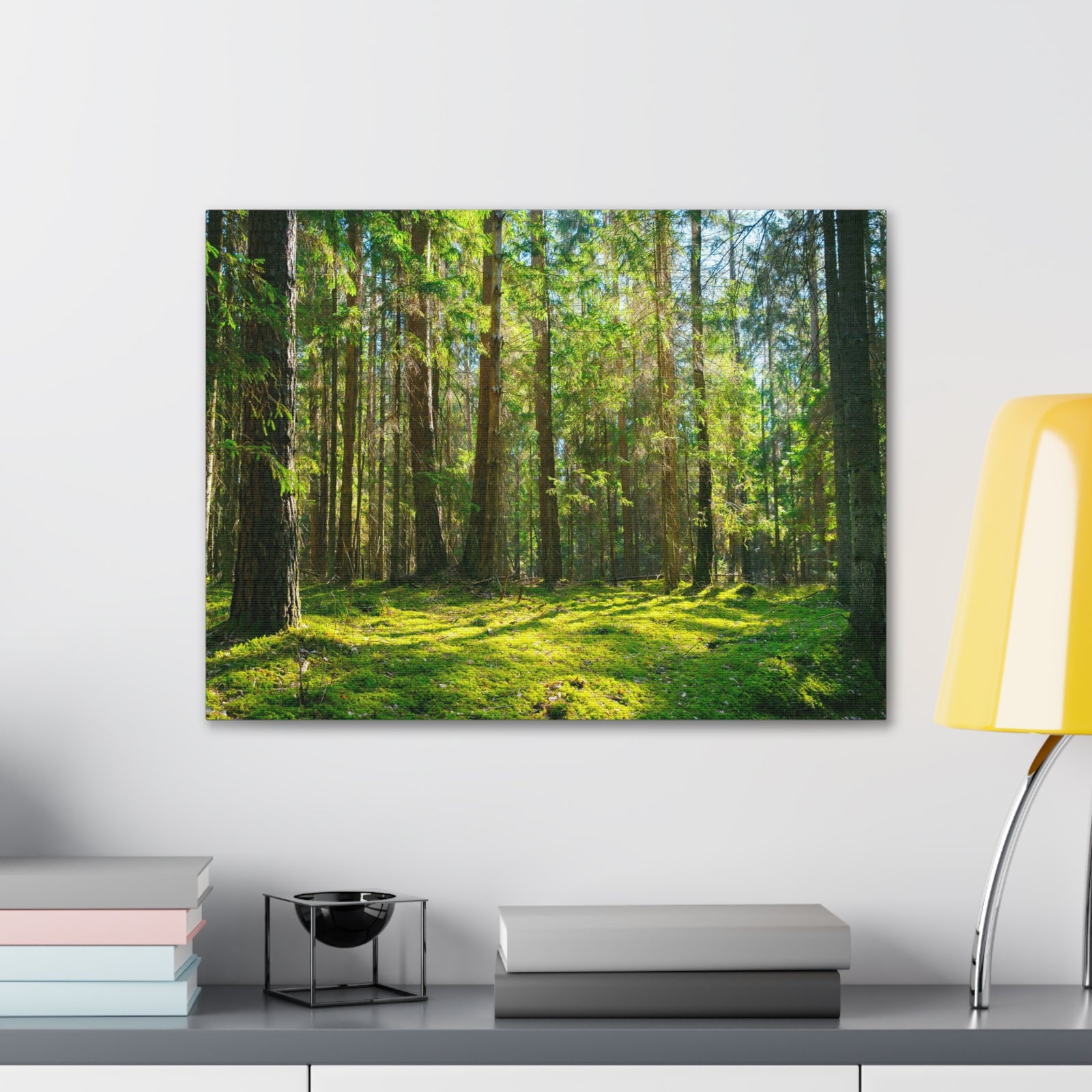 Sunlight Green Forest Tree Nature Wilderness Photography Canvas Wall Art for Home Decor Ready-to-Hang-Express Your Love Gifts
