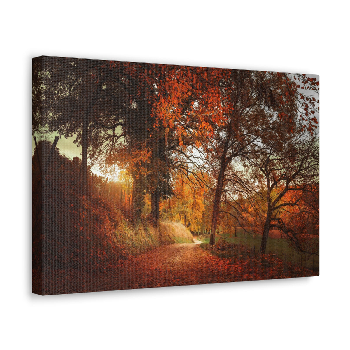 Autumn Park Orange Tree Nature Wilderness Photography Canvas Wall Art for Home Decor Ready-to-Hang-Express Your Love Gifts