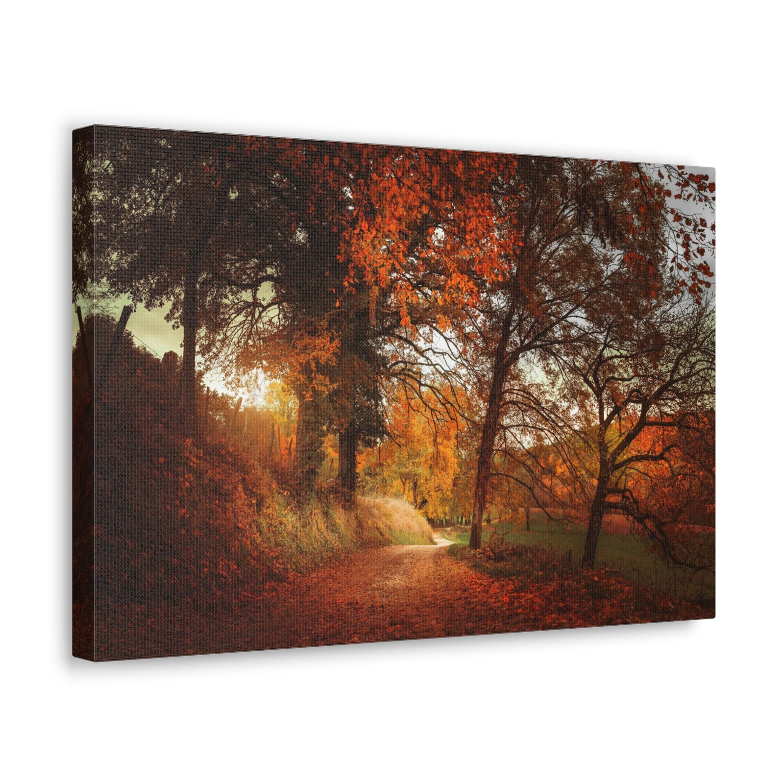 Autumn Park Orange Tree Nature Wilderness Photography Canvas Wall Art for Home Decor Ready-to-Hang-Express Your Love Gifts